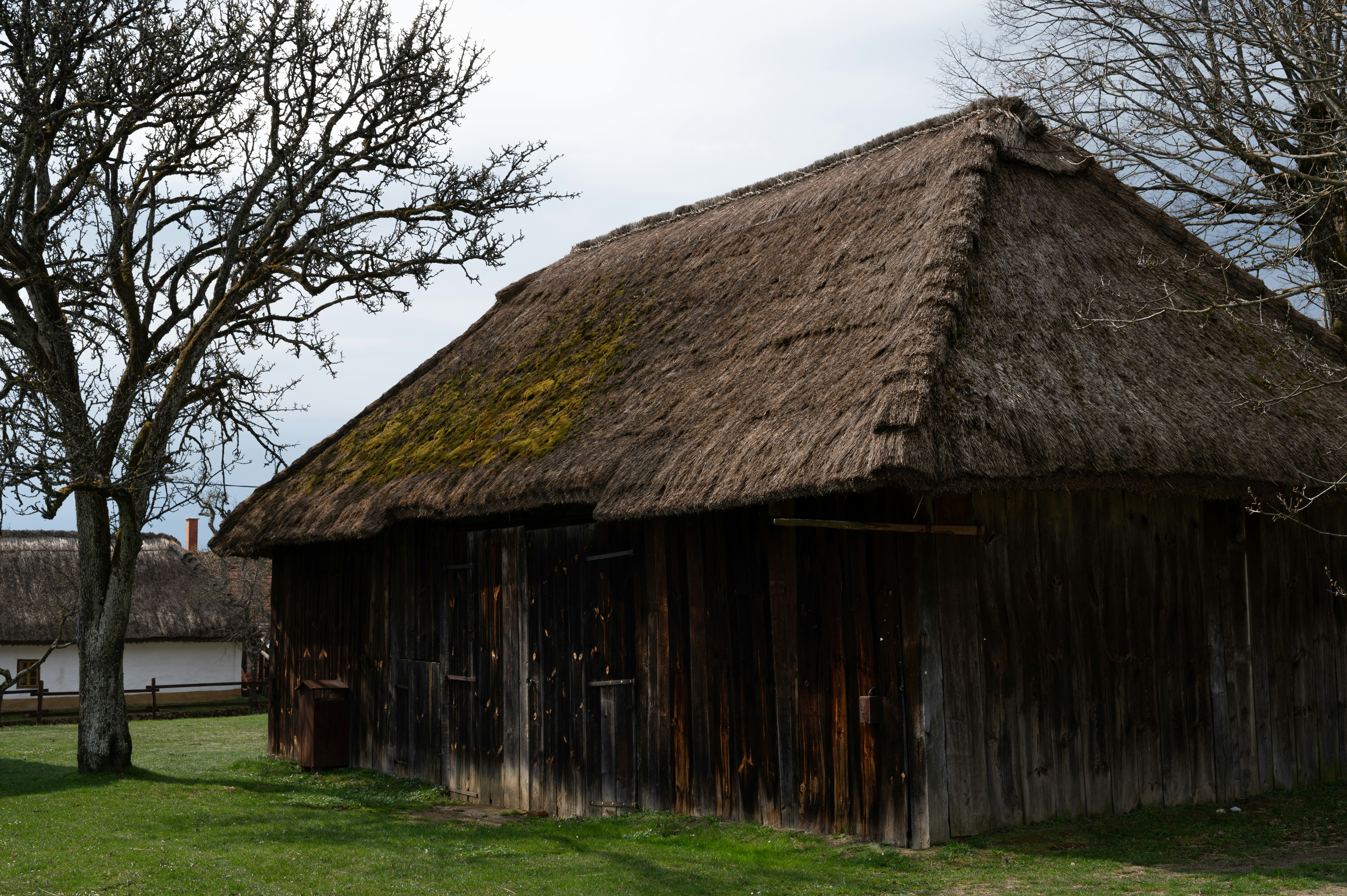 Photo by buduczki