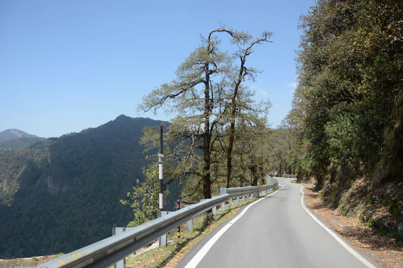 Essential Travel Tips for Visiting Chopta for the First Time