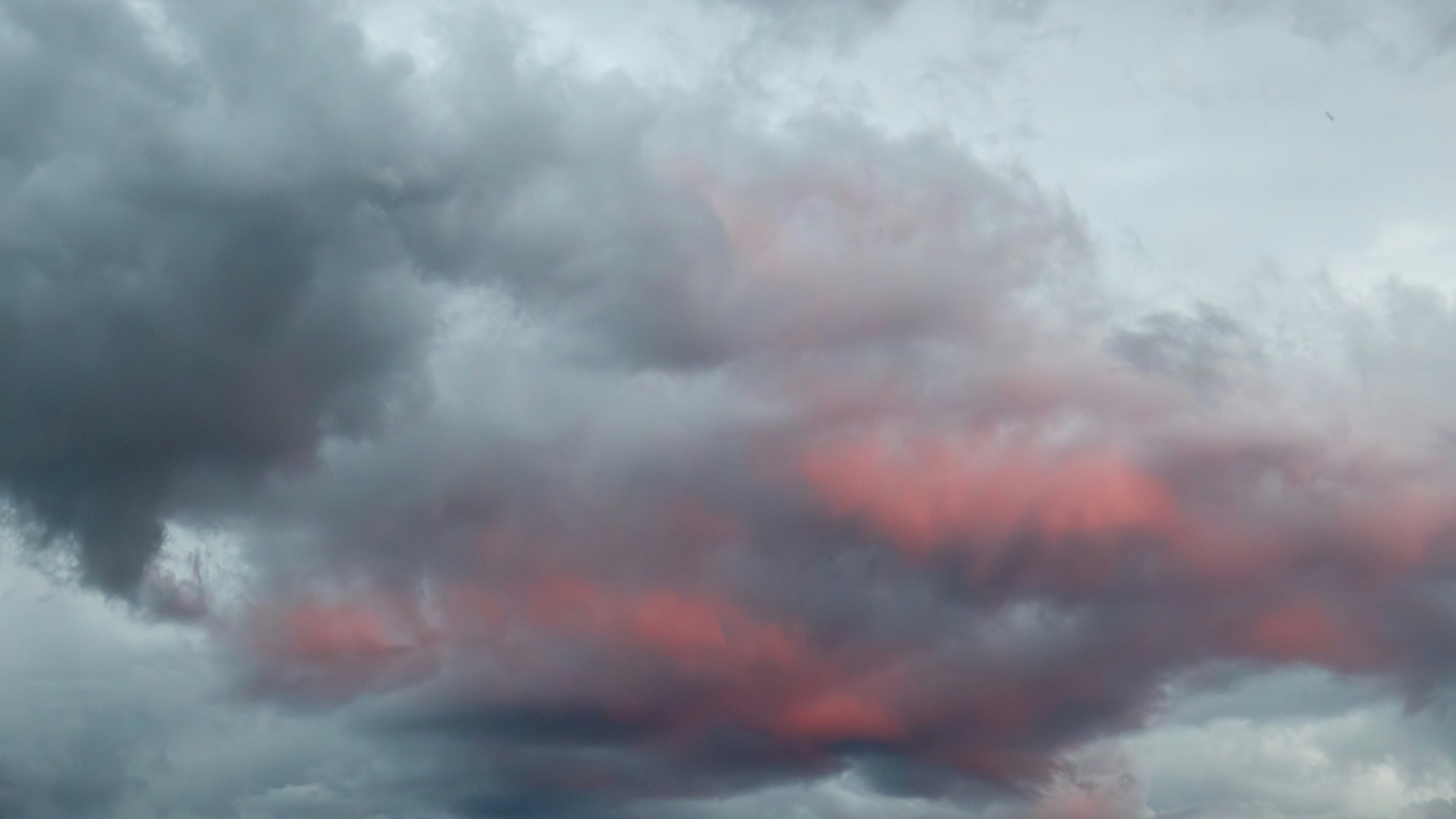 濃い灰色の雲に鮮やかなピンク色の斑点がある。