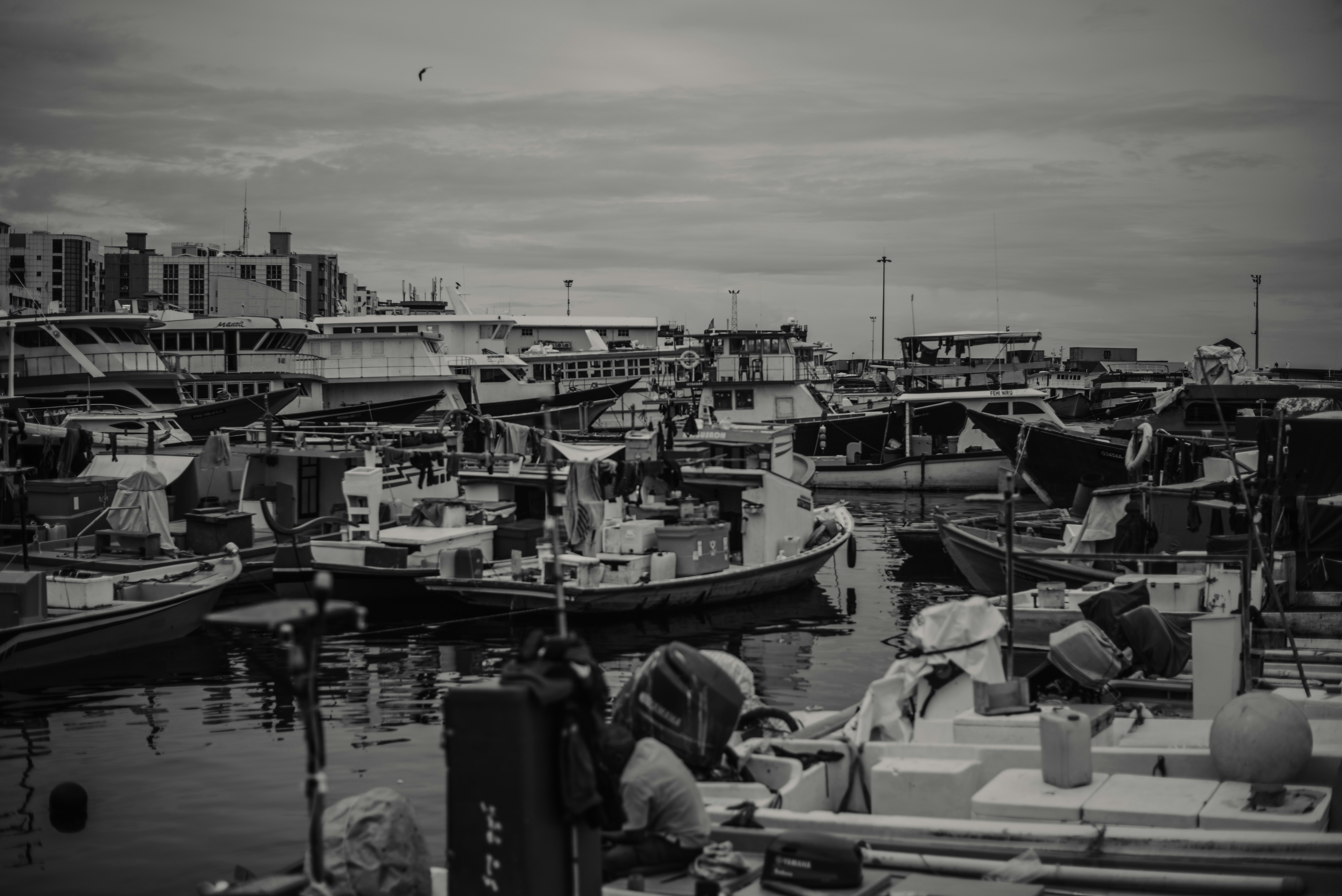Photo by xidhern