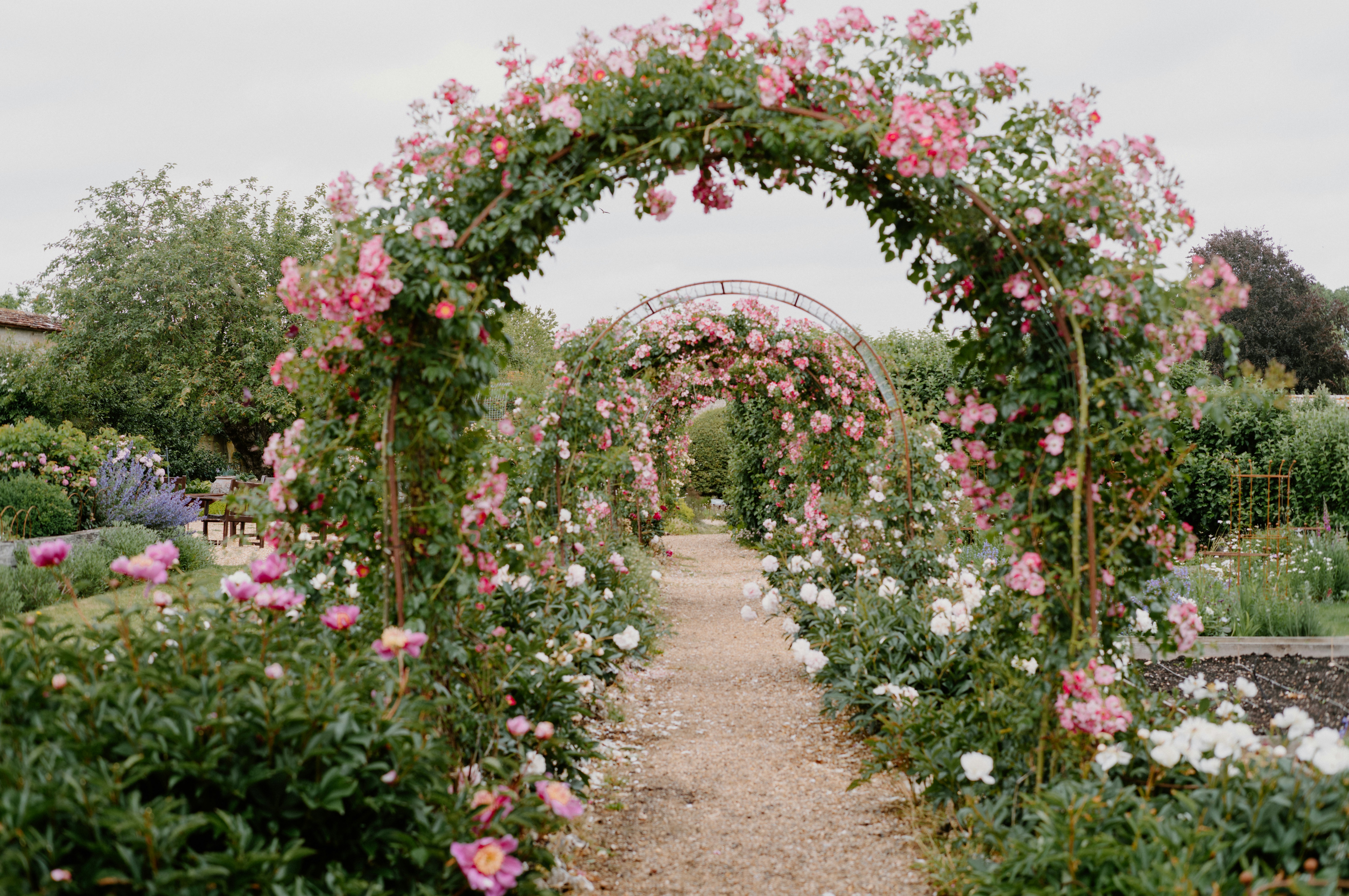 Photo by anniespratt