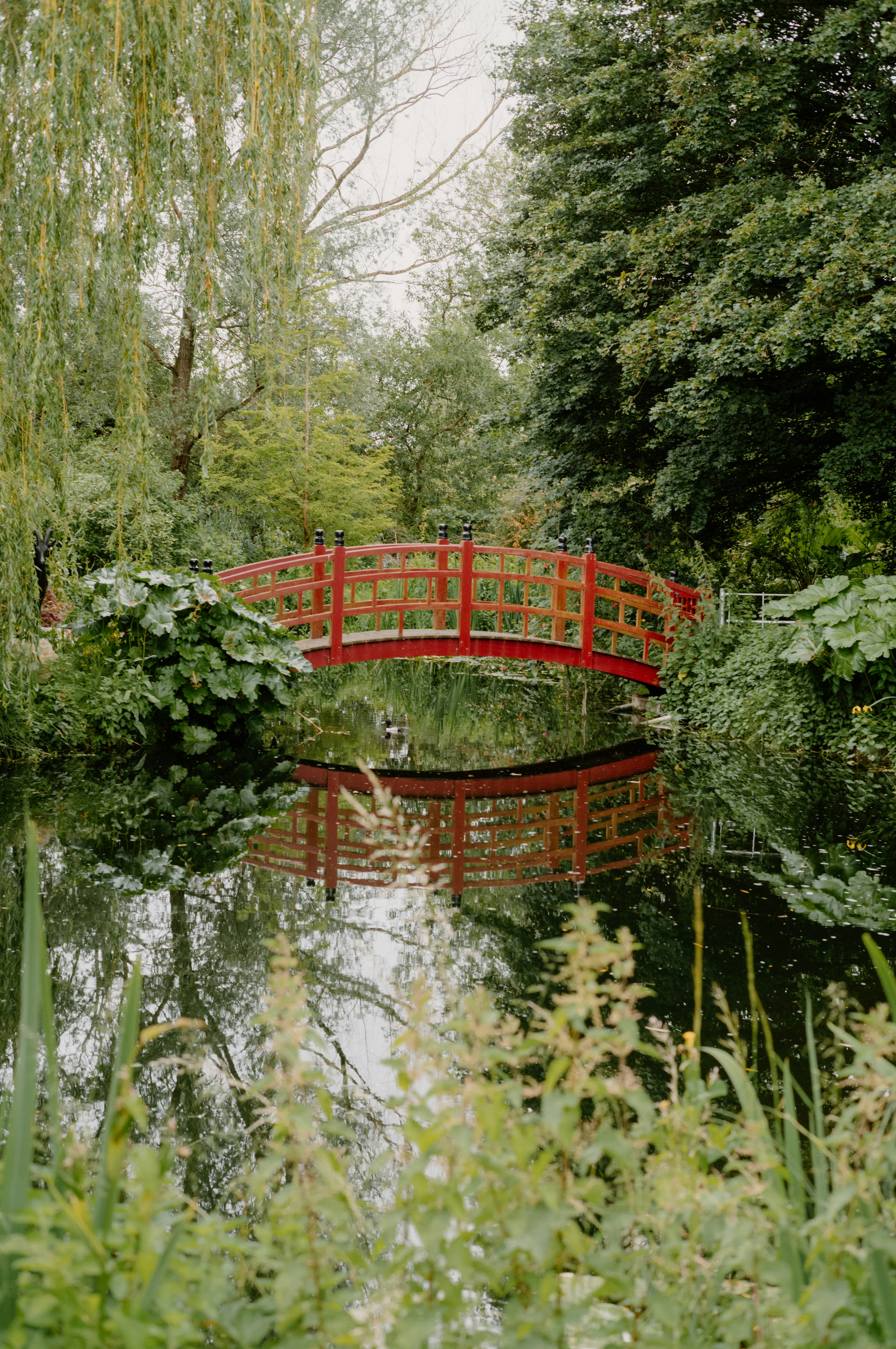 Photo by anniespratt
