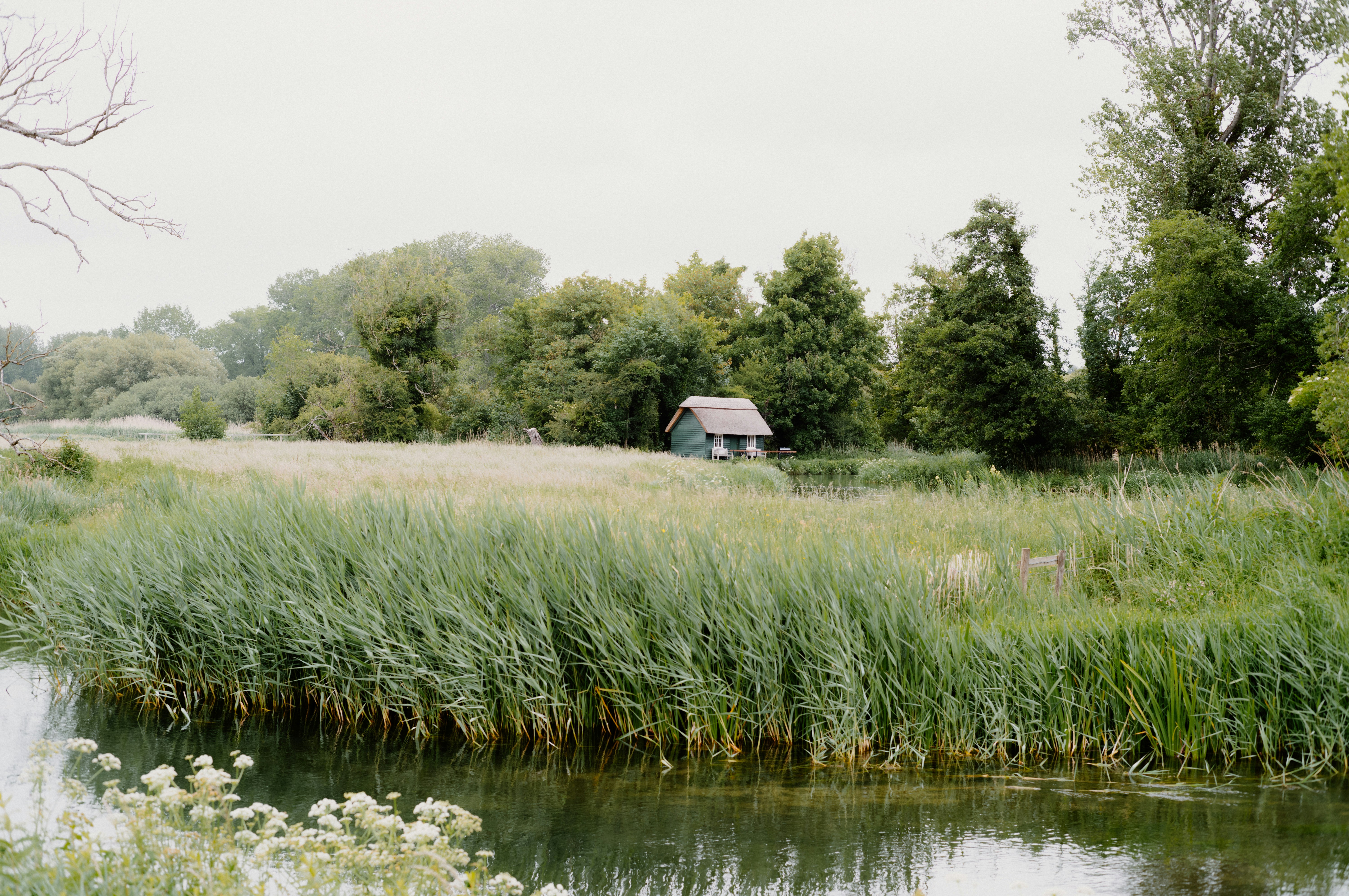 Photo by anniespratt