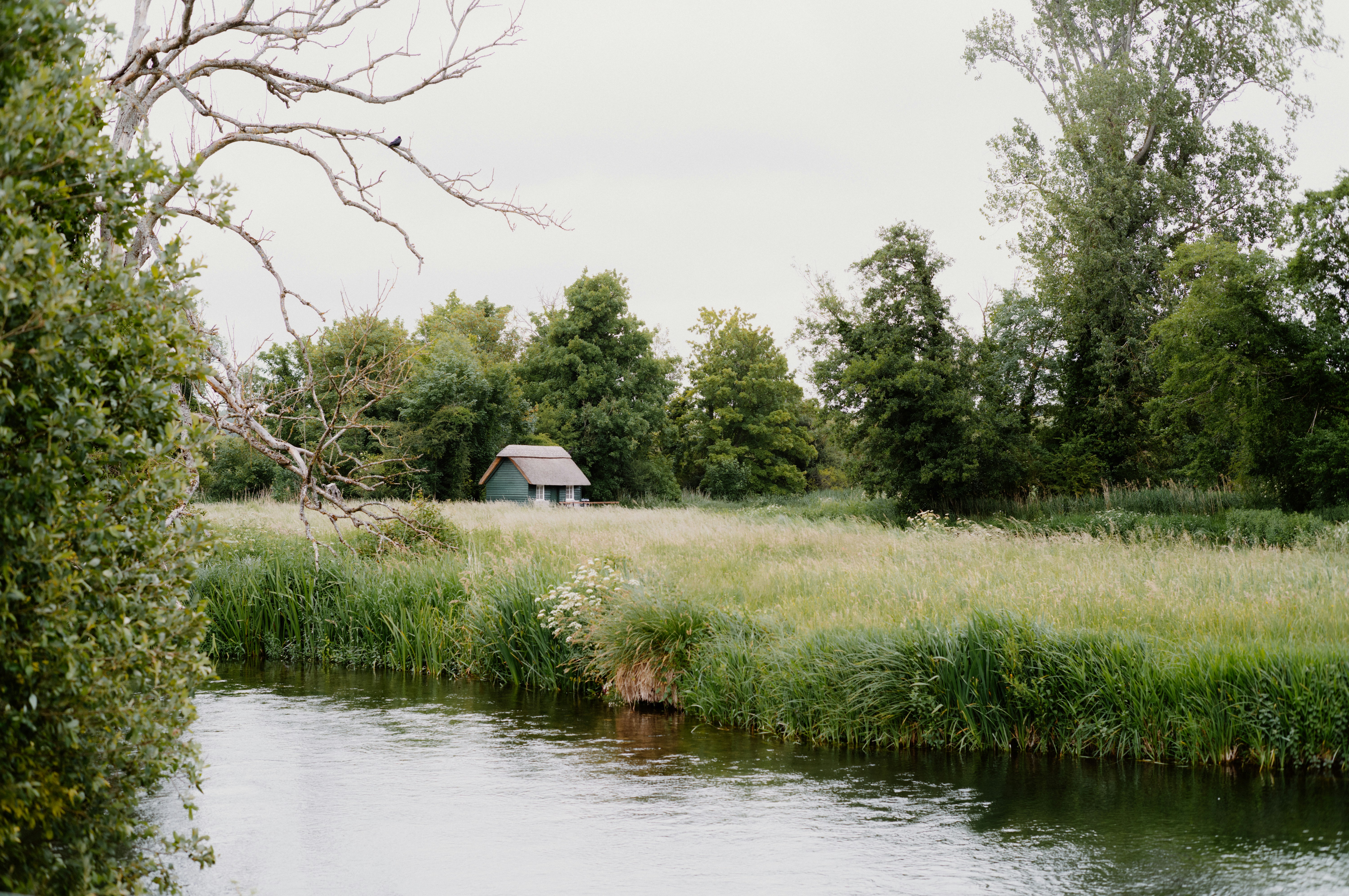 Photo by anniespratt
