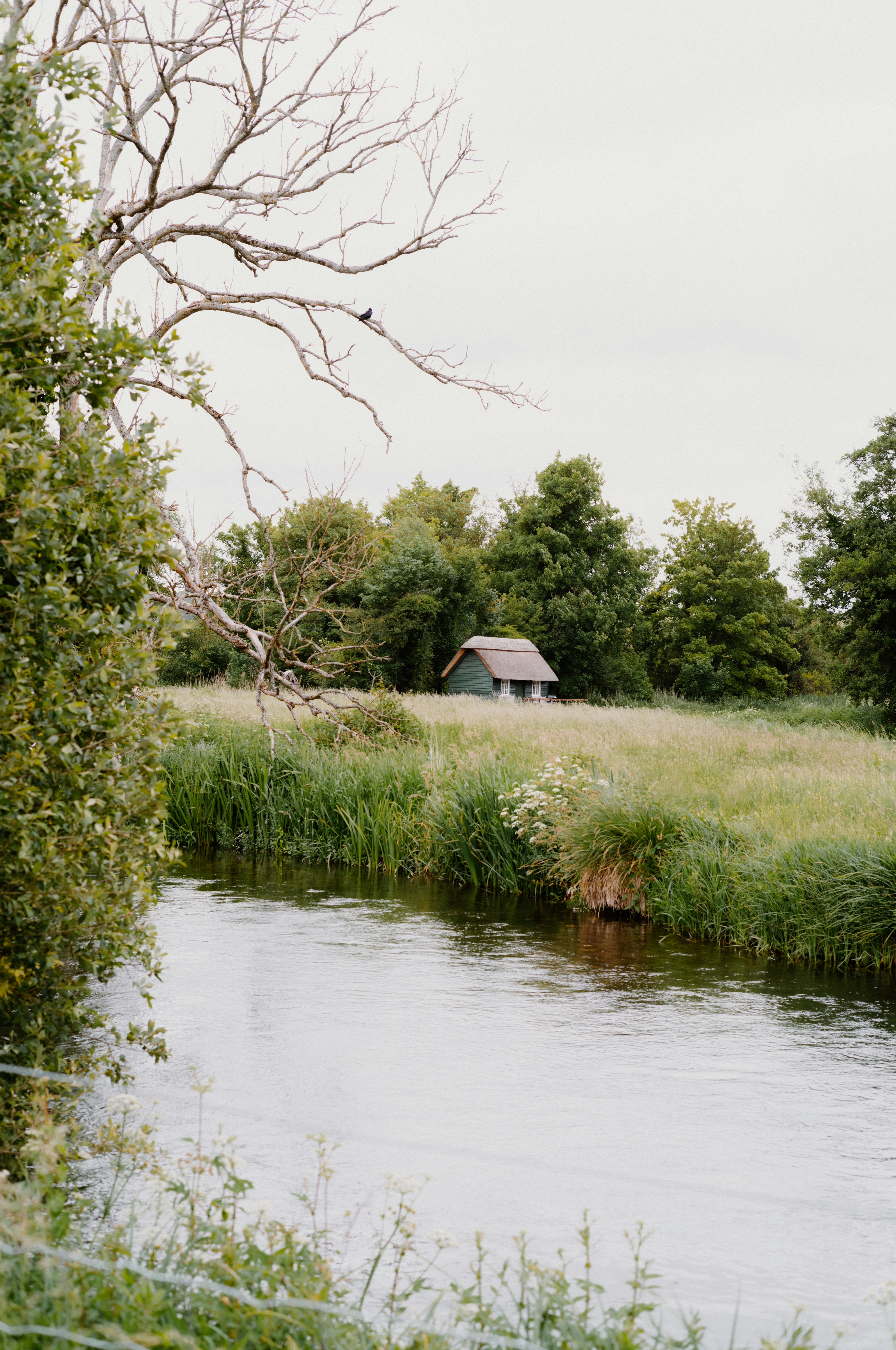 Photo by anniespratt