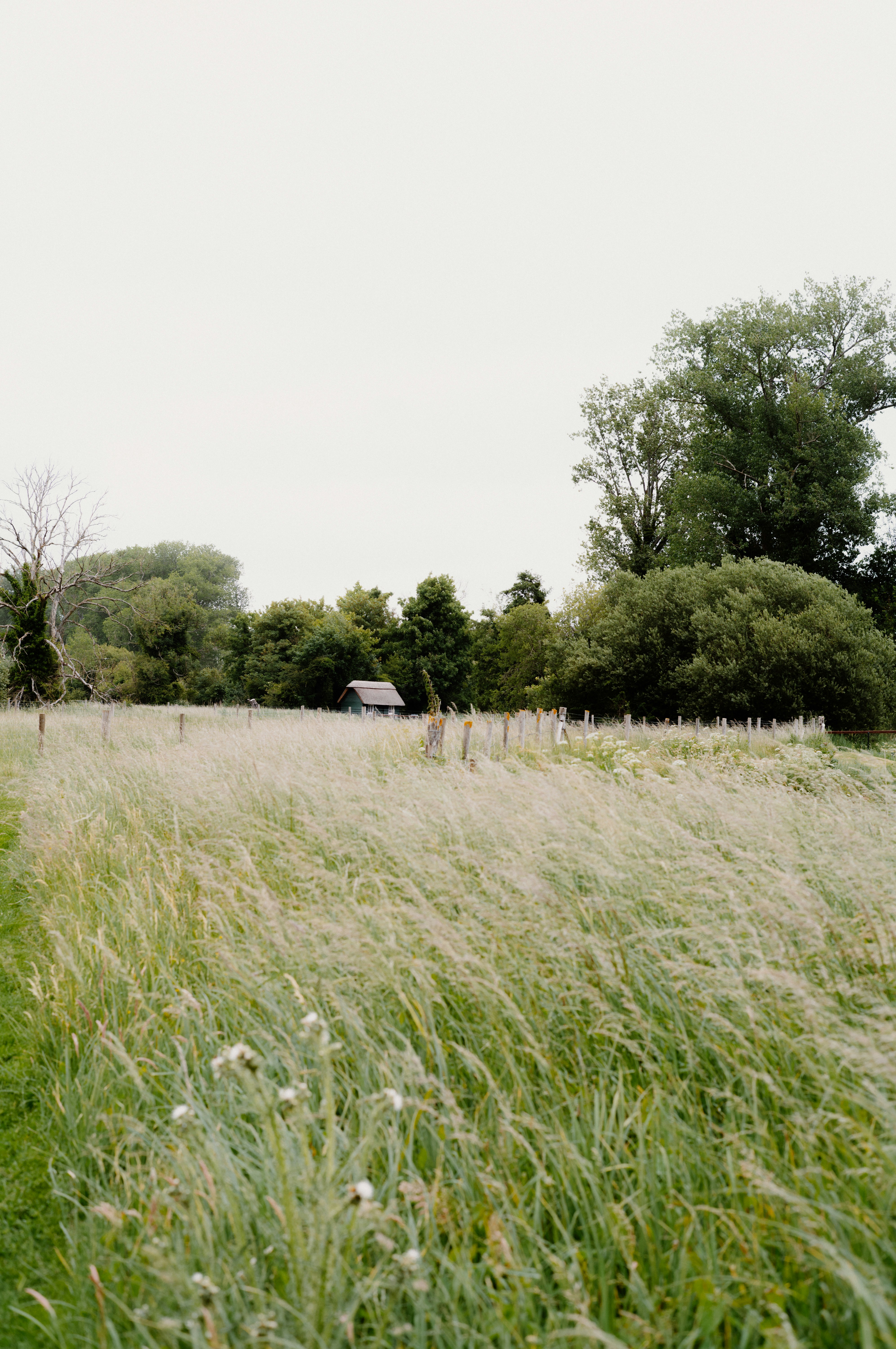 Photo by anniespratt