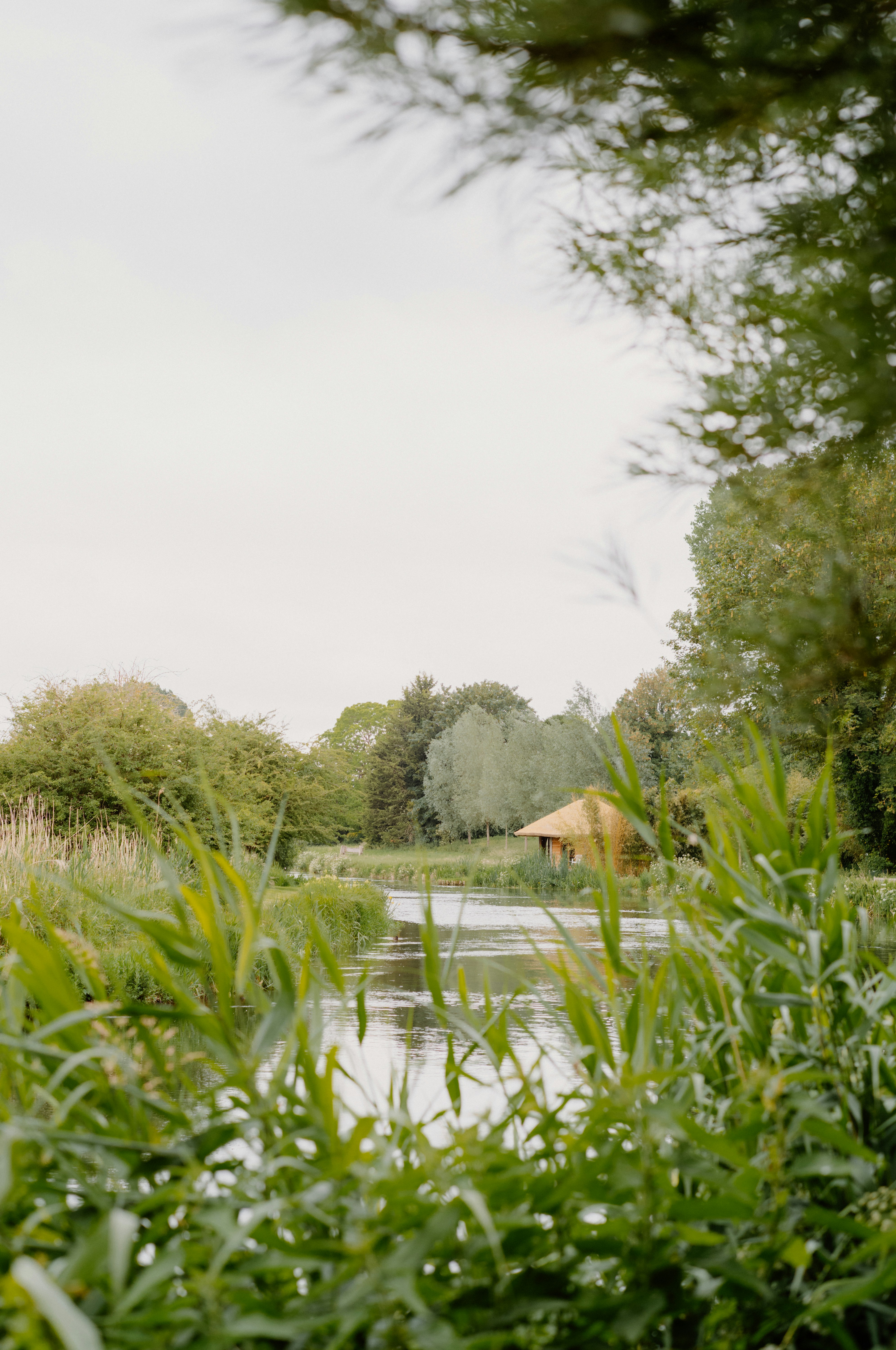 Photo by anniespratt