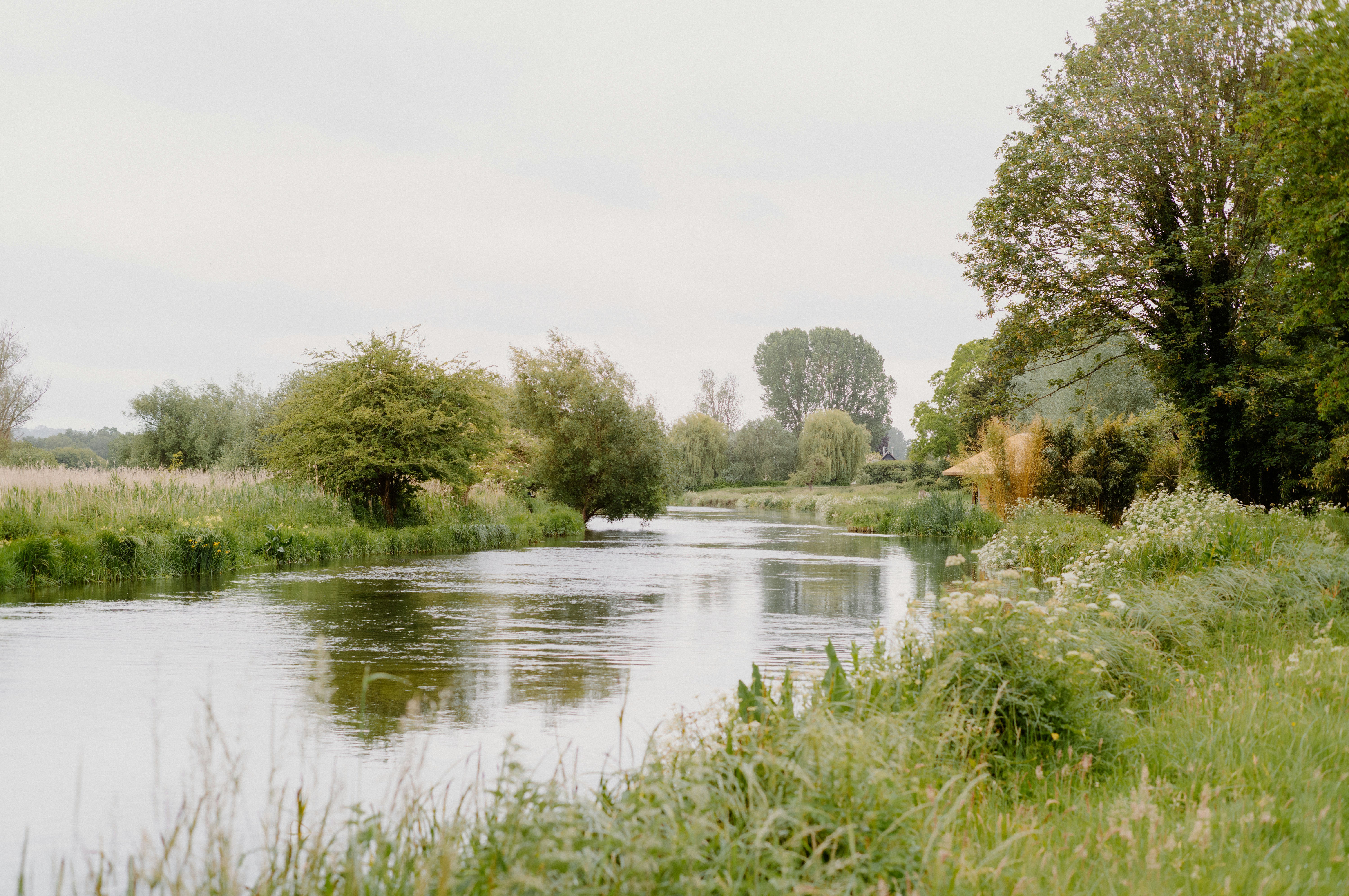 Photo by anniespratt