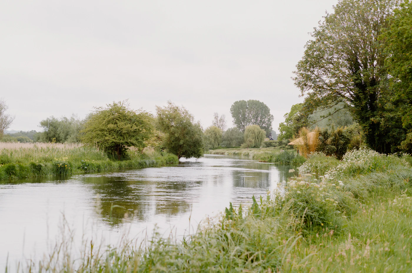 Ruhiger Fluss zwischen grünen Wiesen und Bäumen