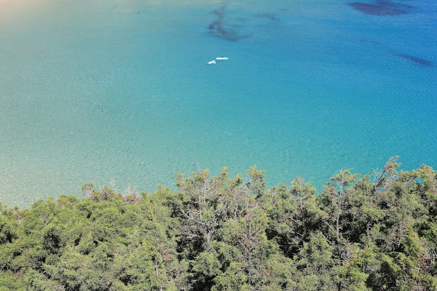 Turquoise water meeting a green, pine-covered Greek coastline