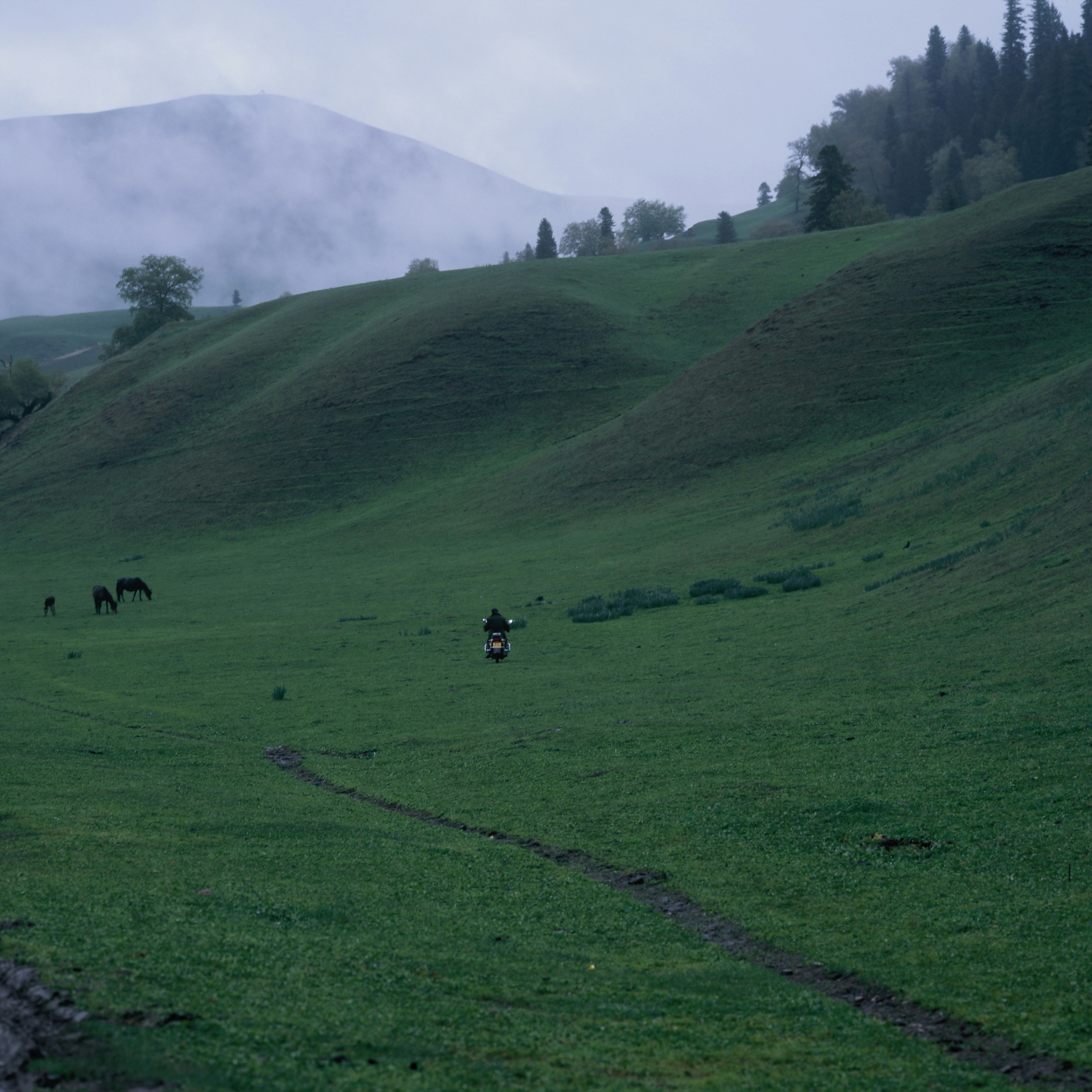 Misty mountains overlook a person walking on a green hillside.