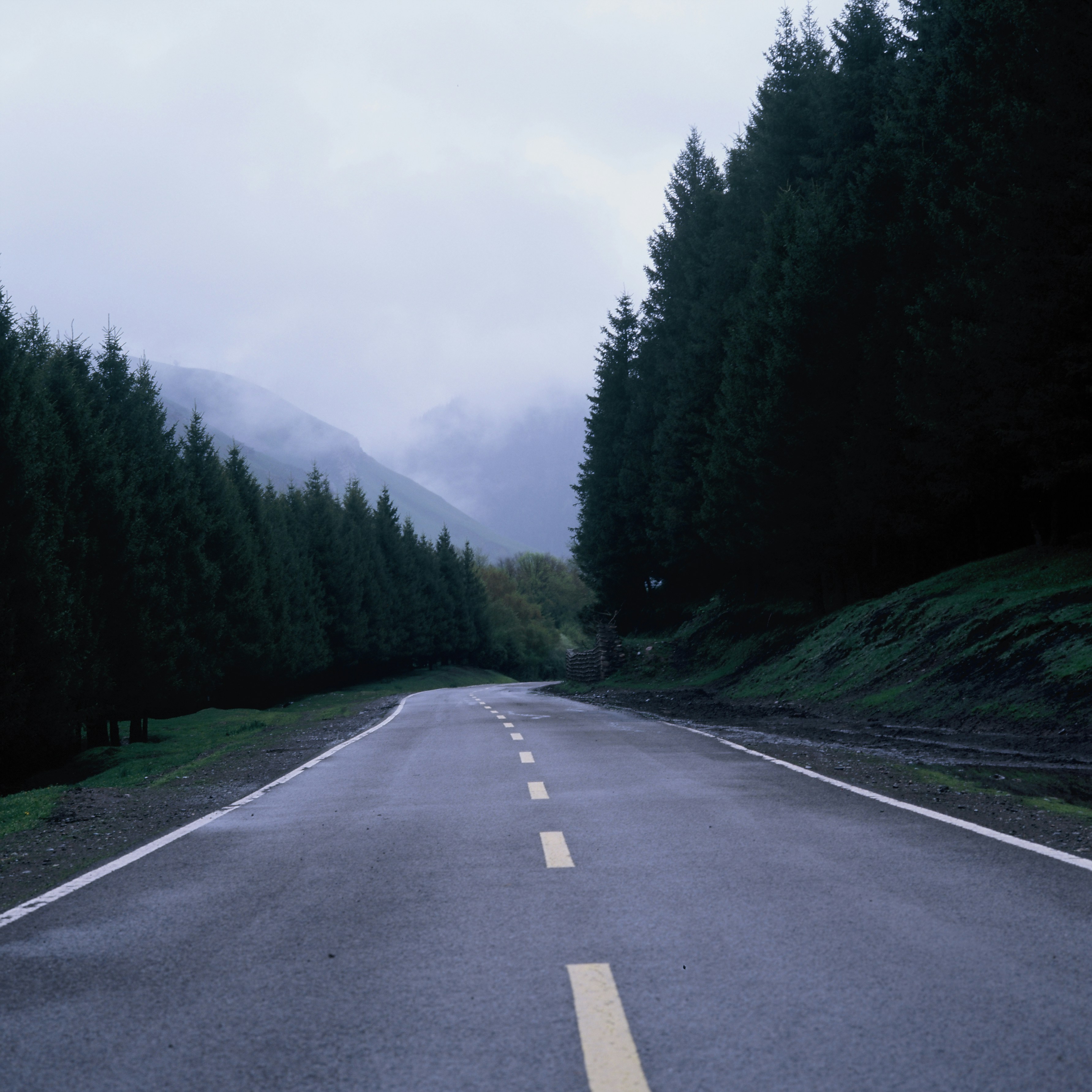 A winding road through a dense forest with mountains.