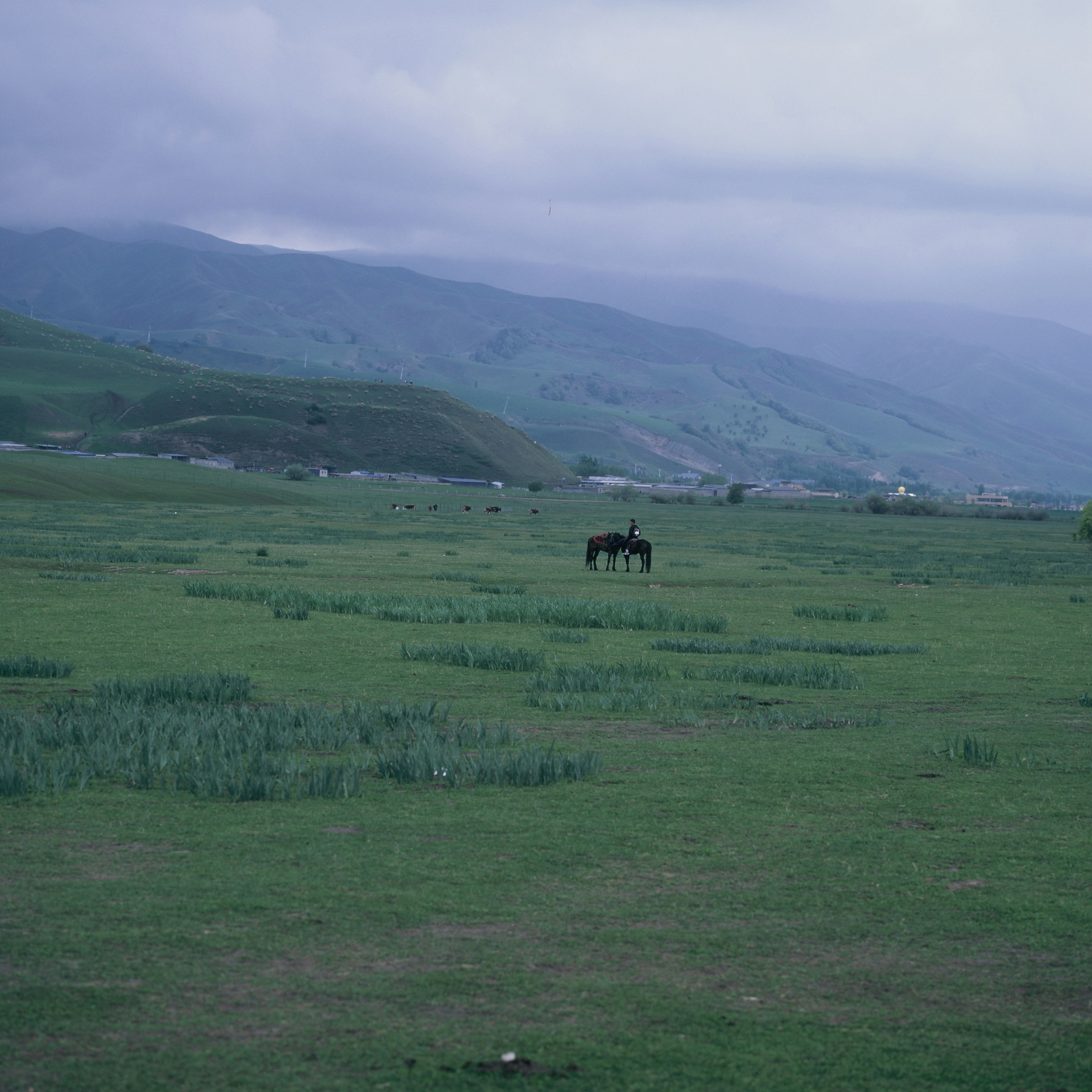 Horse and rider in a green field with cloudy mountains.