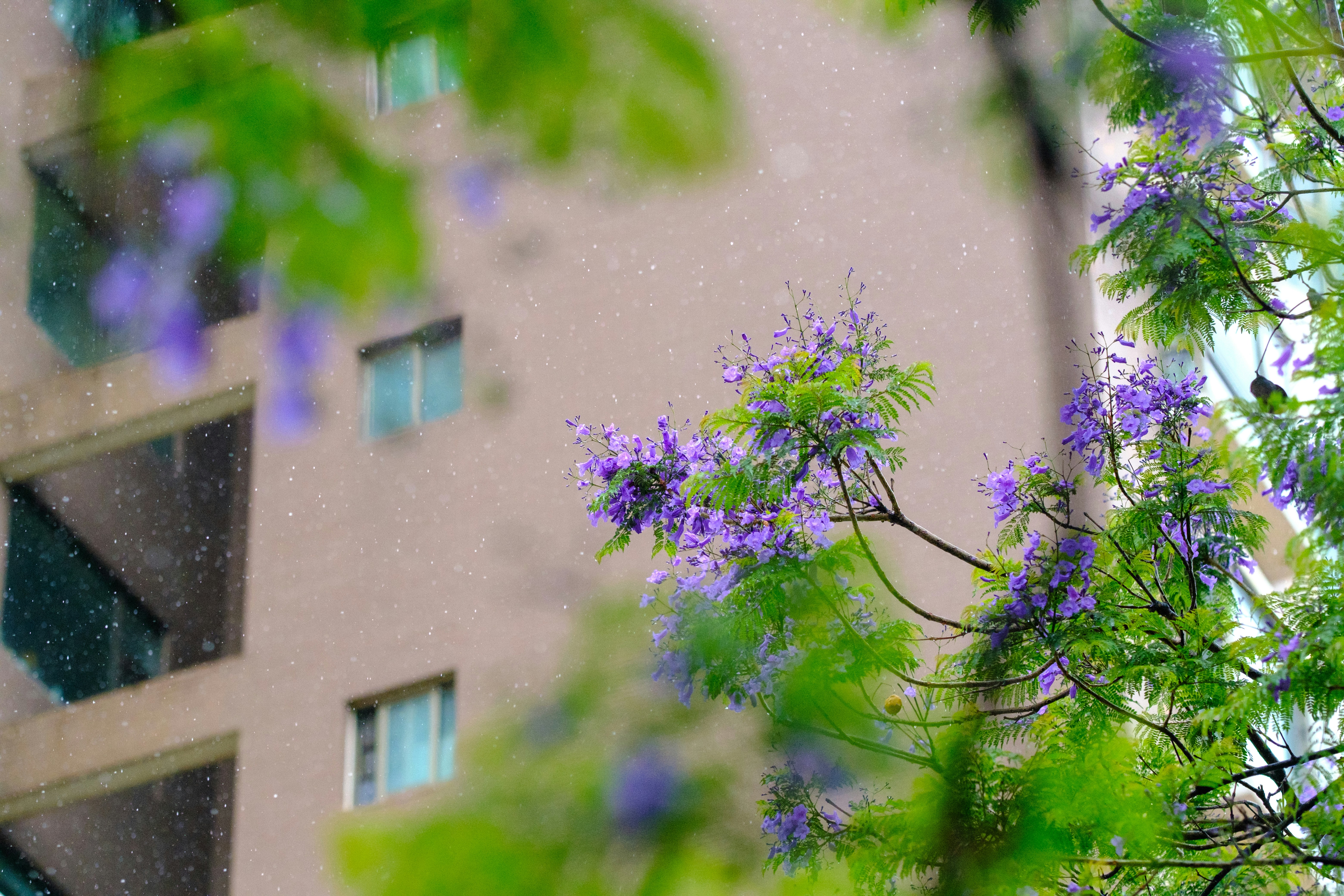 Photo by magicaleye7