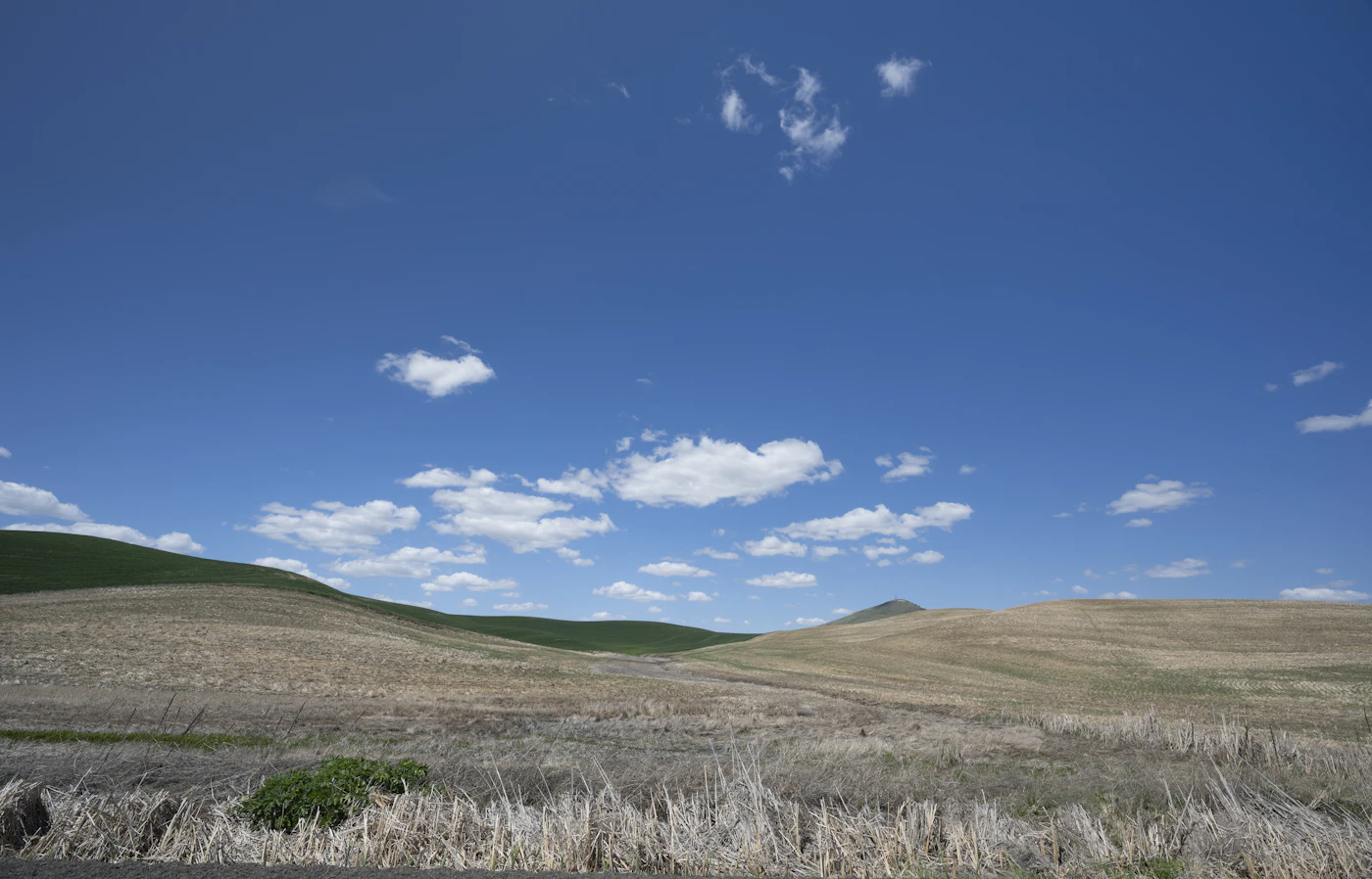 The rolling wheat hills of the Palouse under a wide cloudy sky