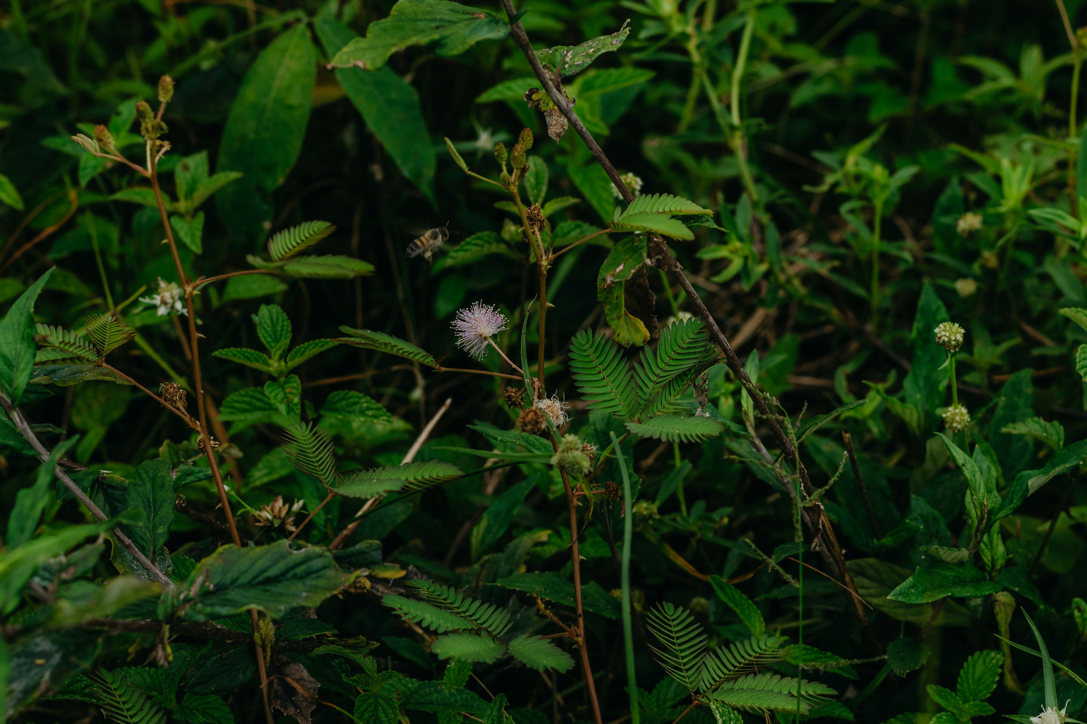 Photo by kawerodriguess