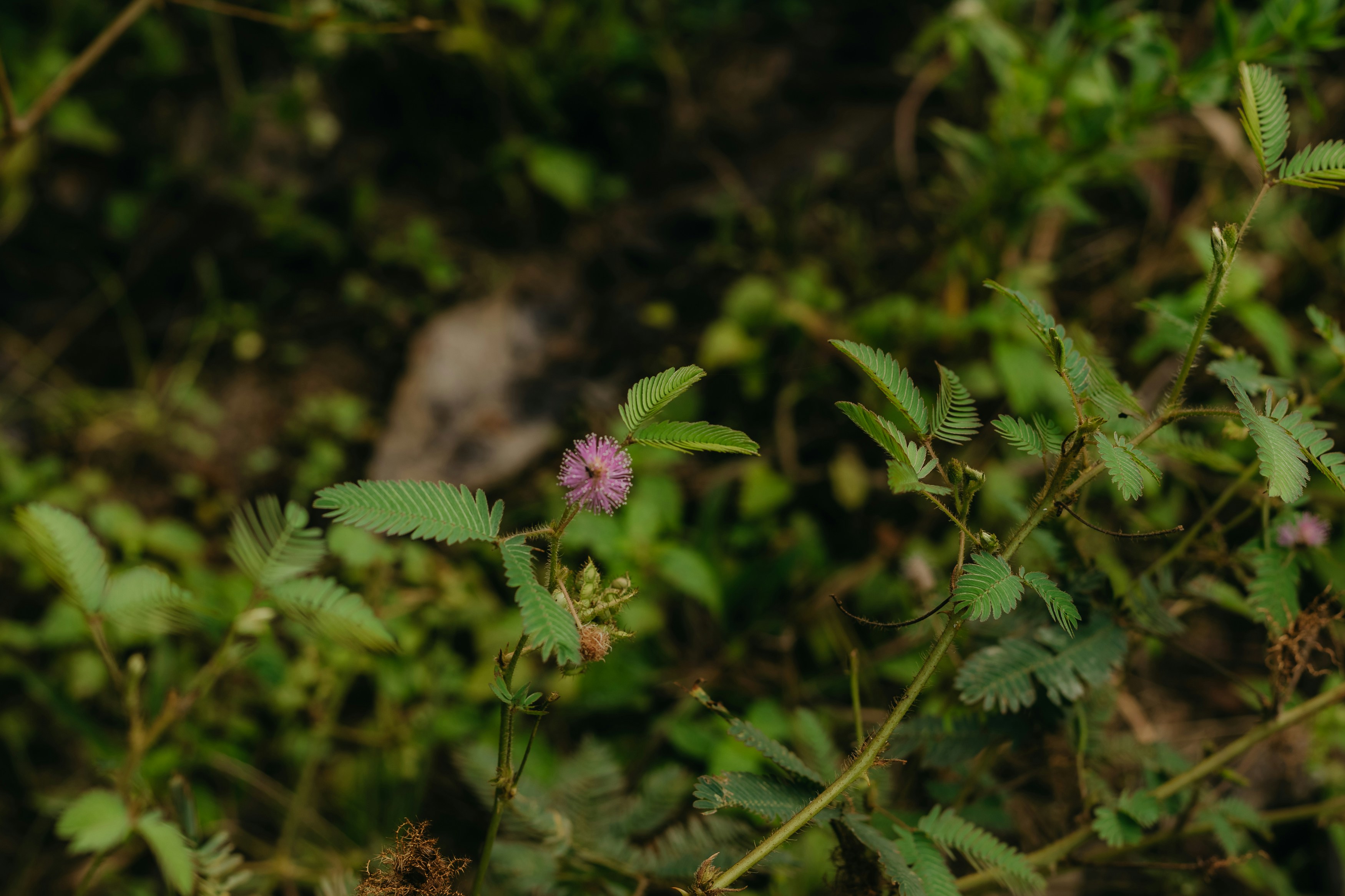 Photo by kawerodriguess