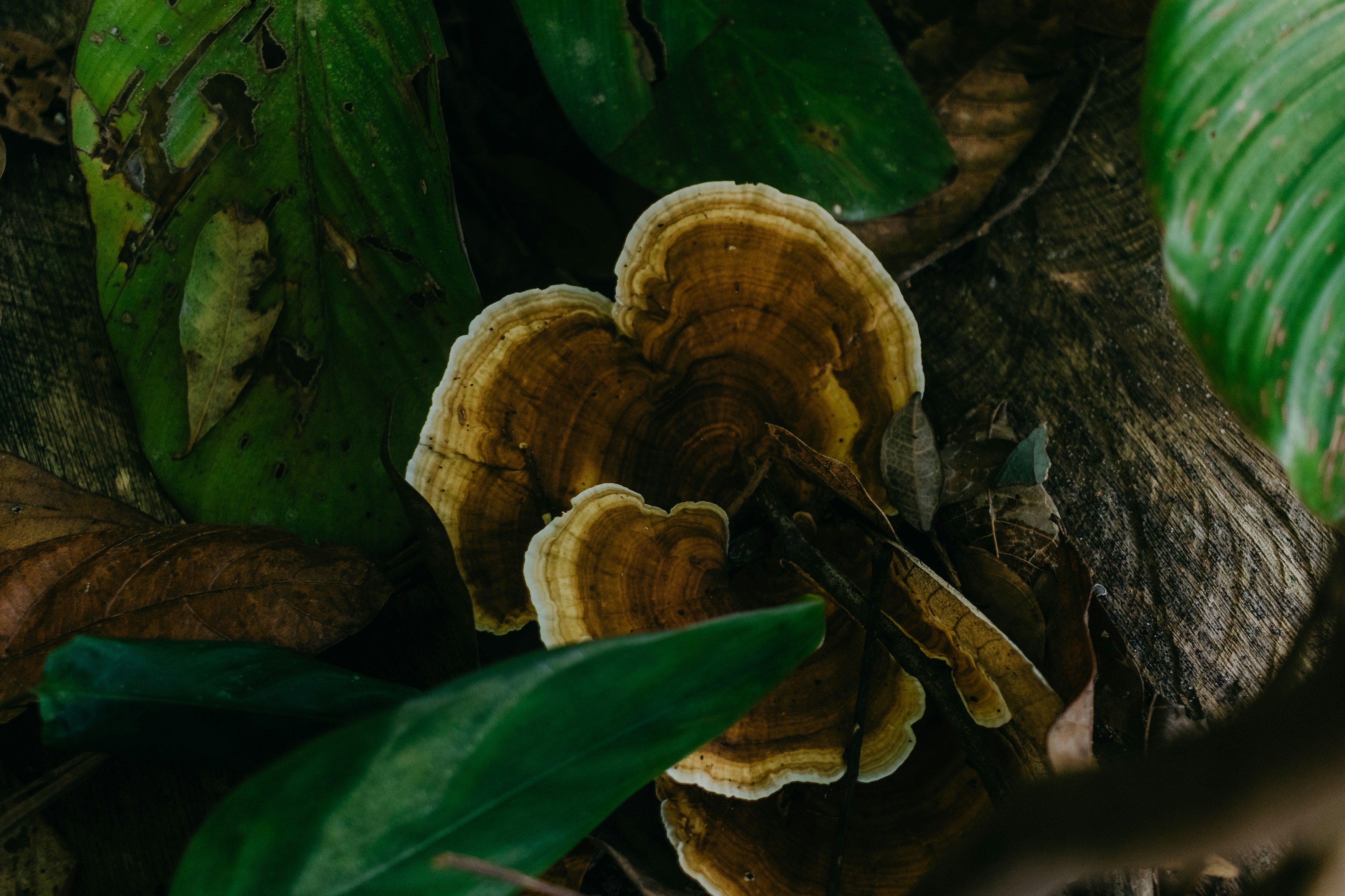 Photo by kawerodriguess