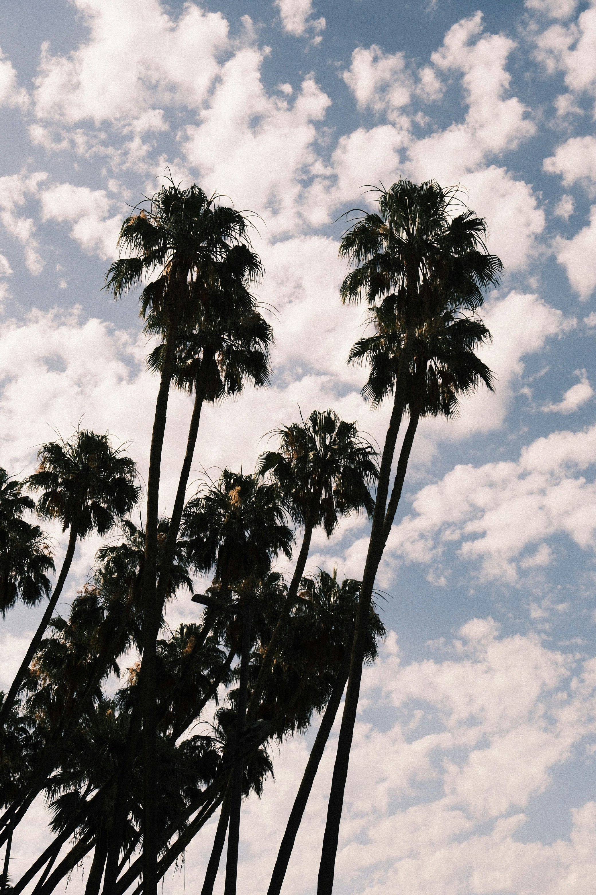 Photo by raulmermans