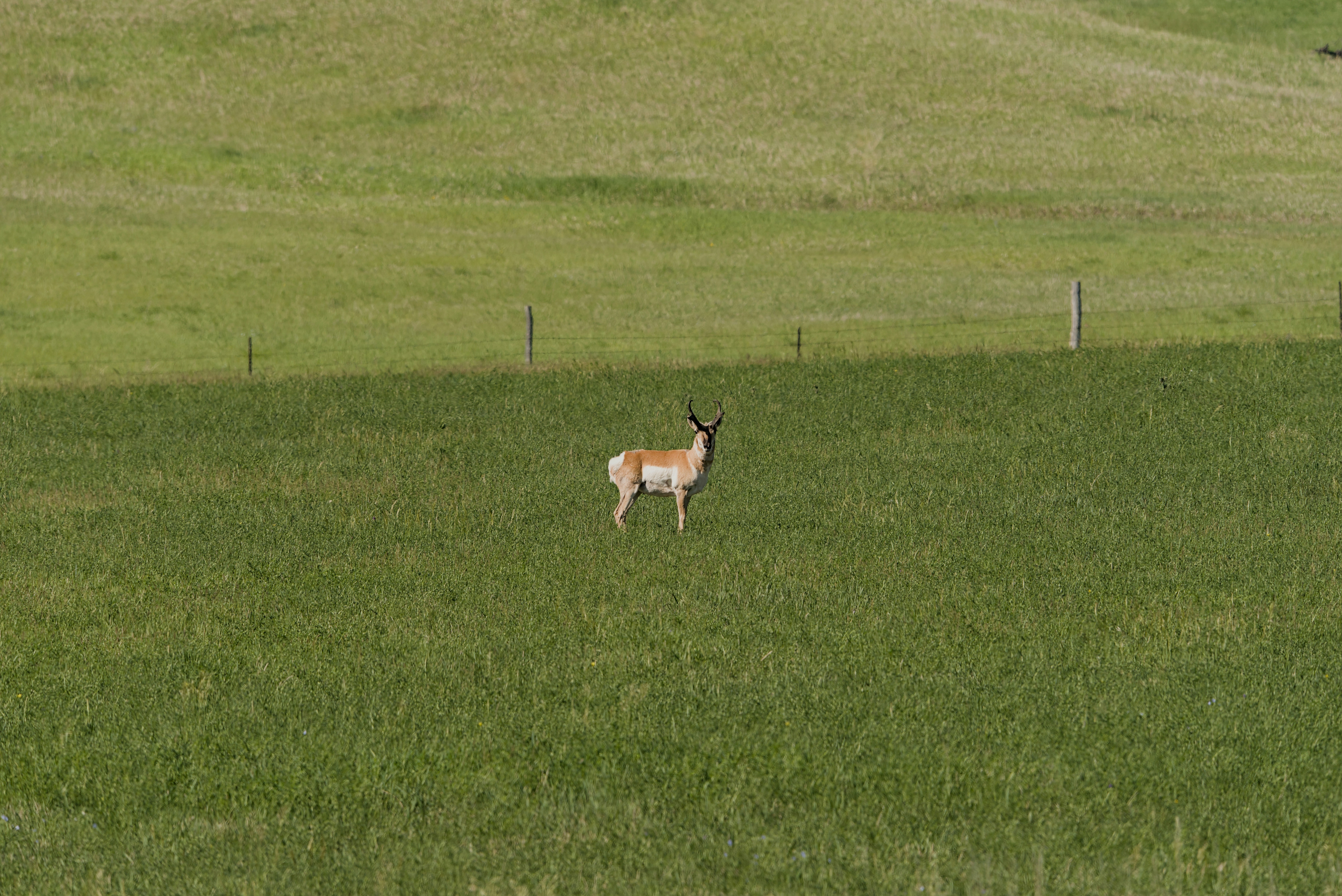 Photo by cbischoff