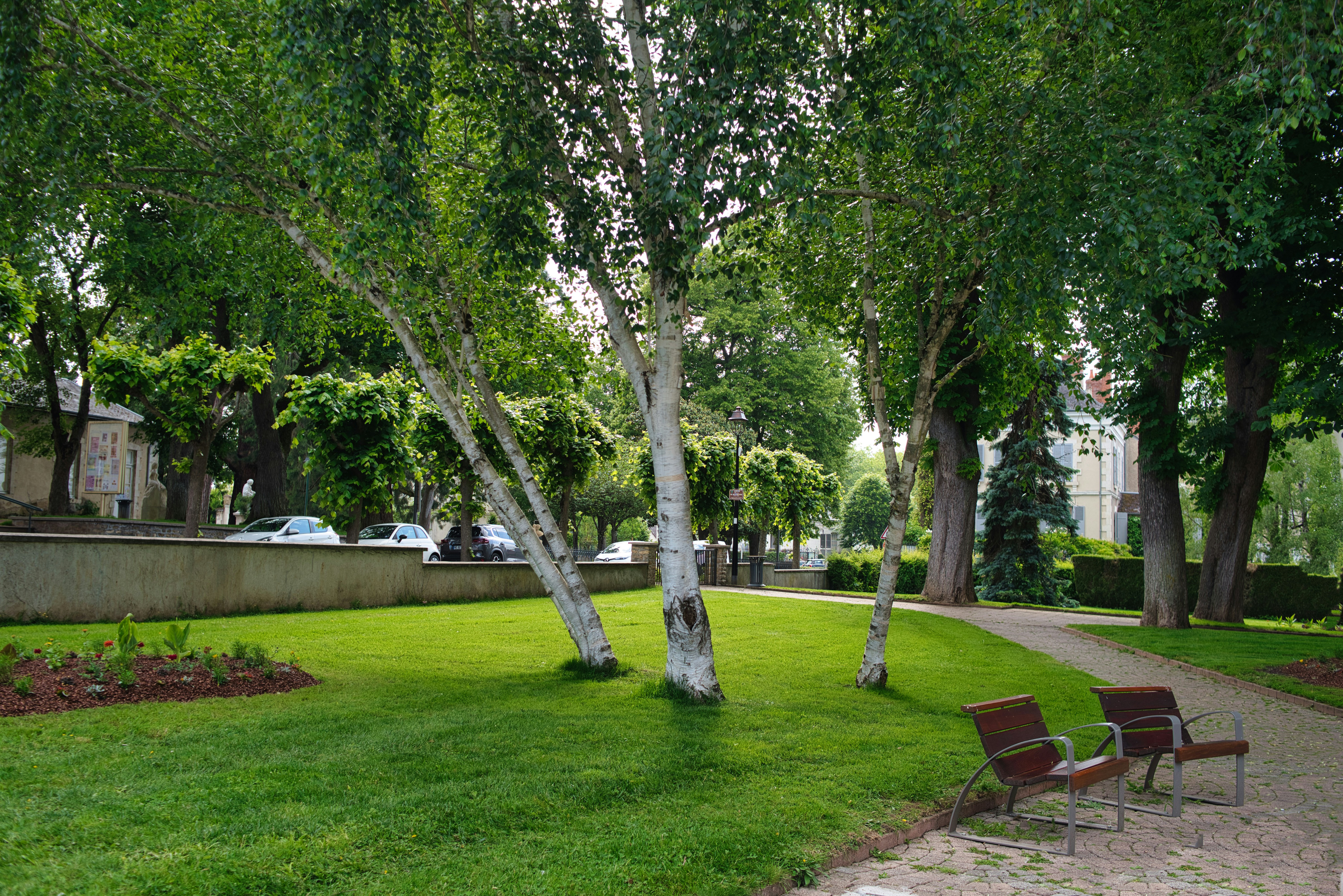 Green park with birch trees and a path