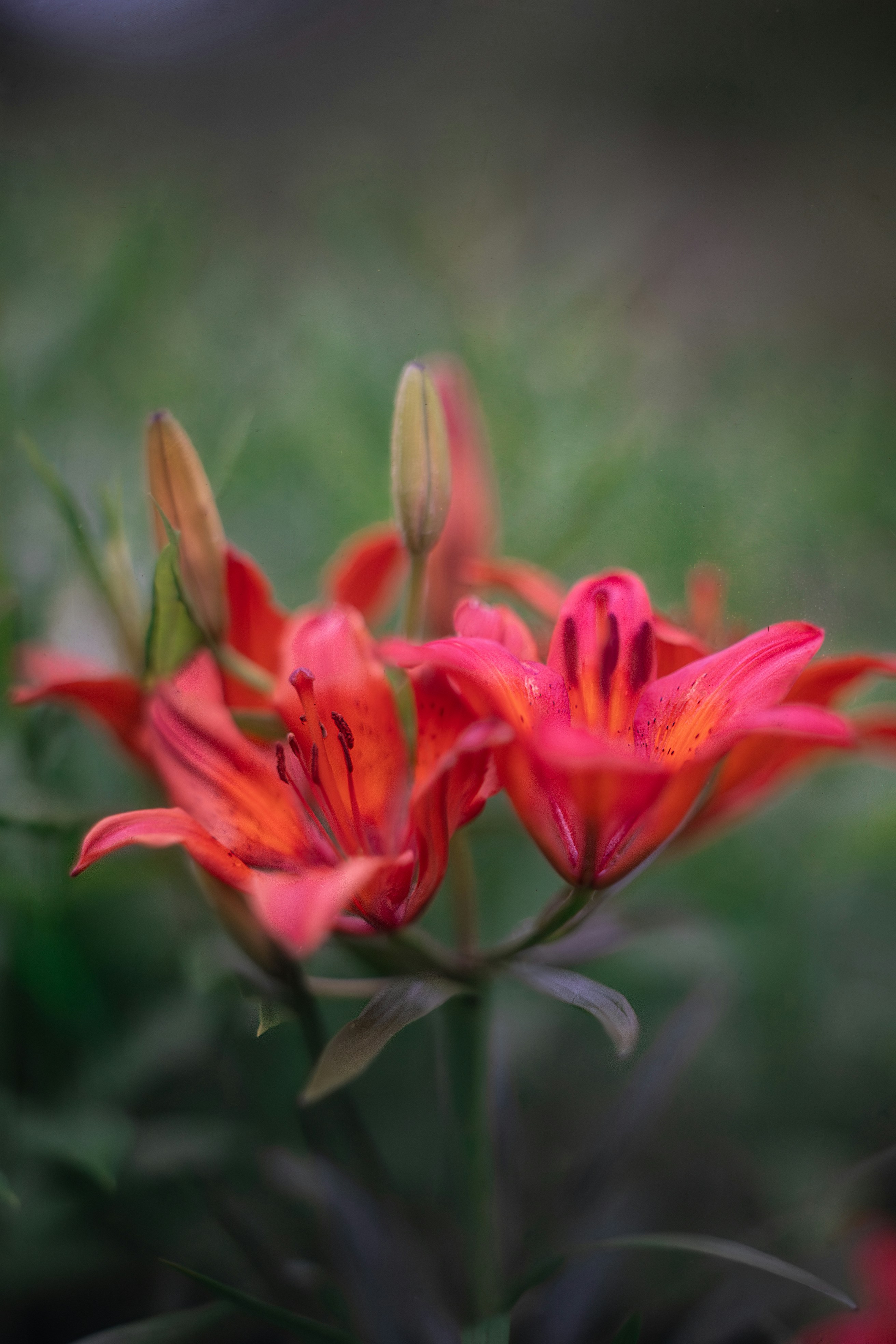 Photo by andrilliardbond