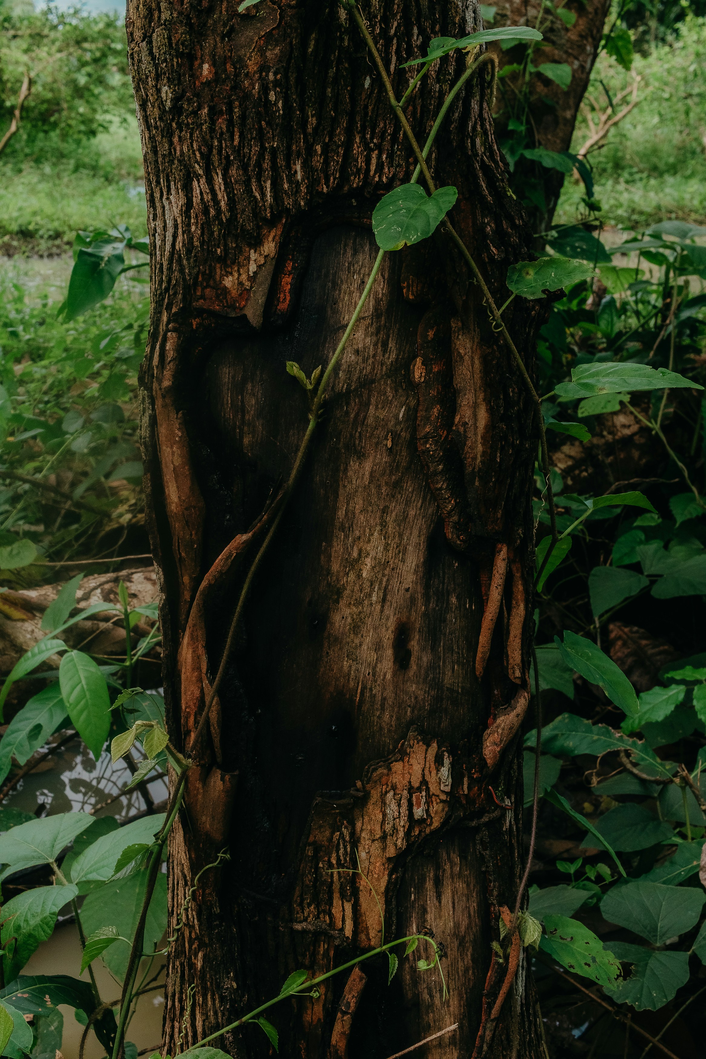 Photo by kawerodriguess