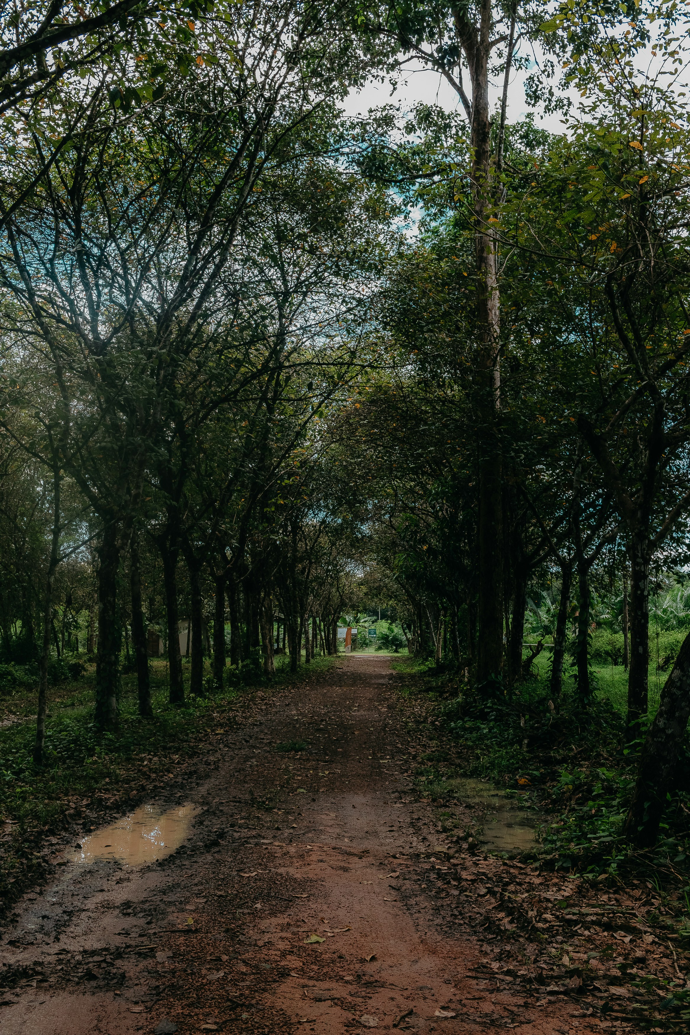 Photo by kawerodriguess