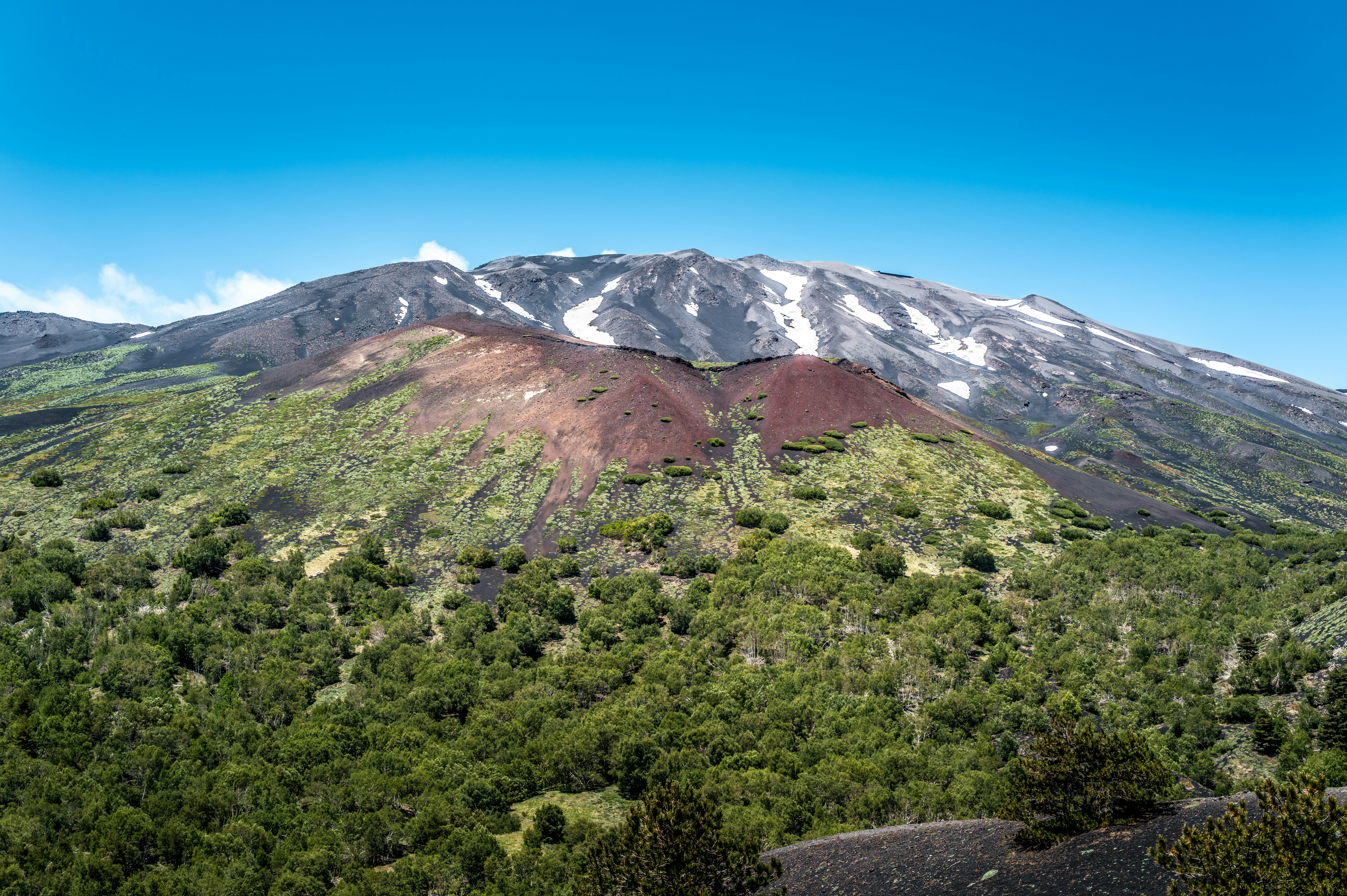 Majestic snow-capped volcano with red cone and green forest.