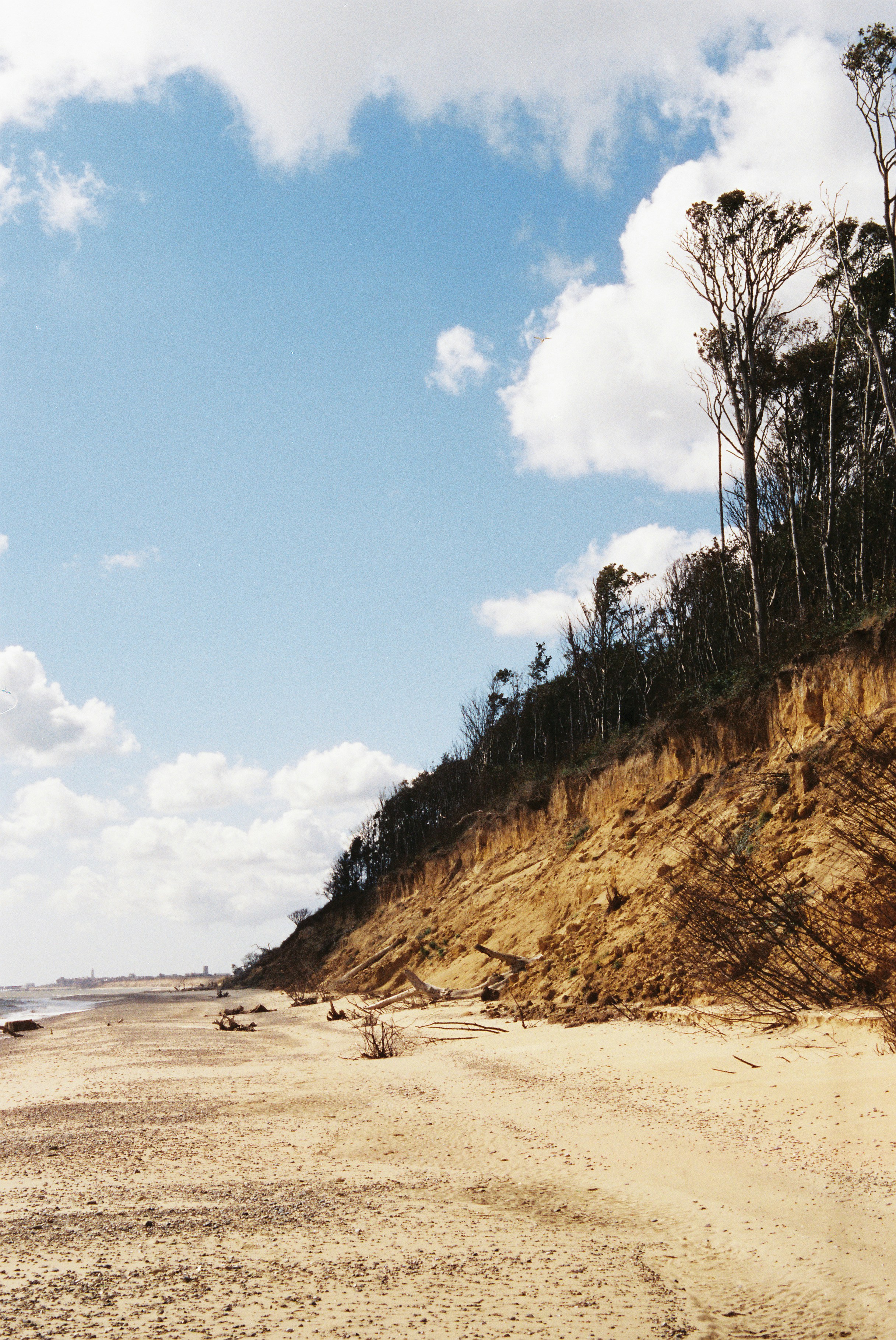 Paesaggio costiero con spiaggia sabbiosa, scogliere erose e alberi.