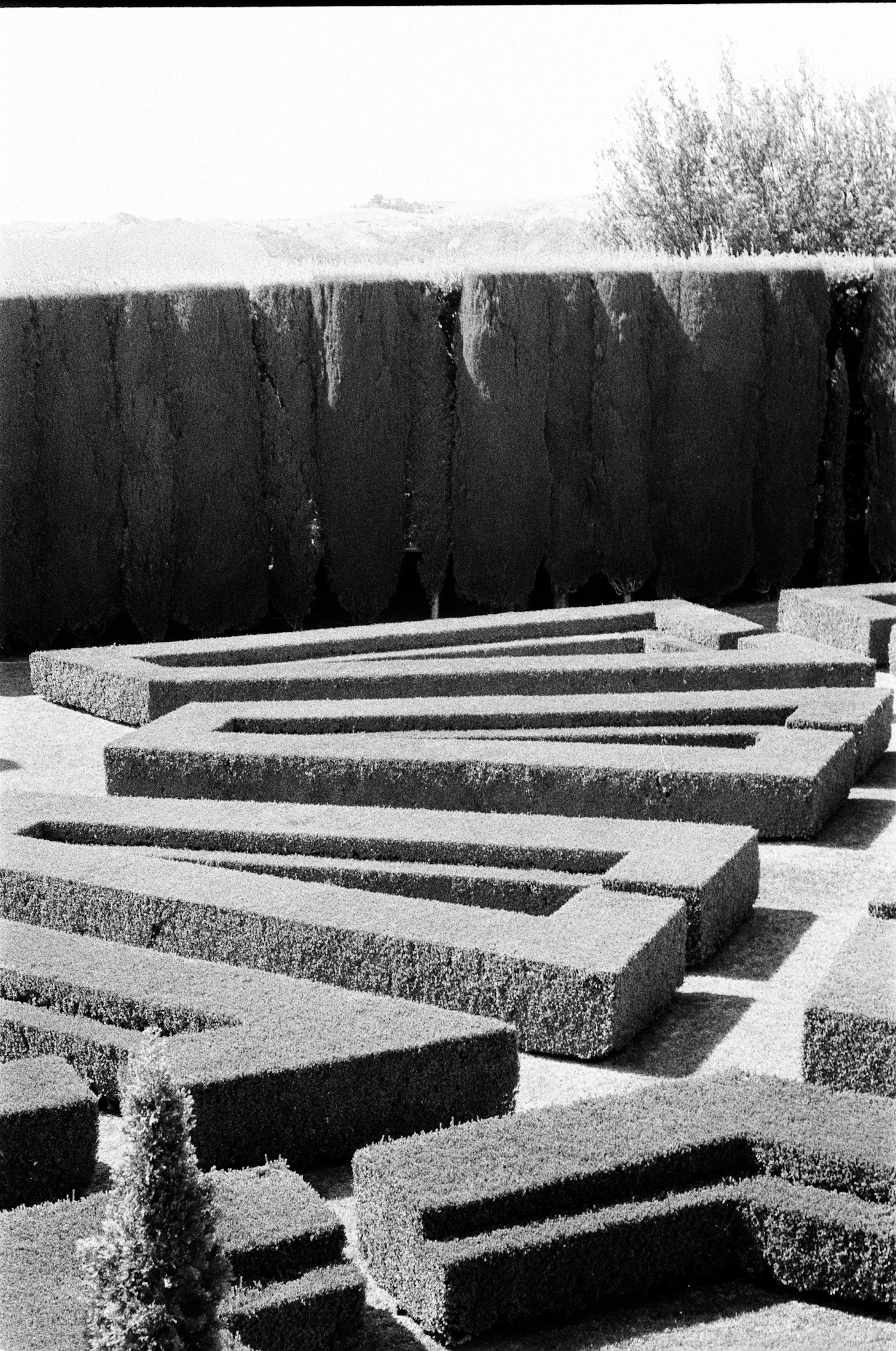 Abstract geometric hedges forming a sculptural garden landscape.