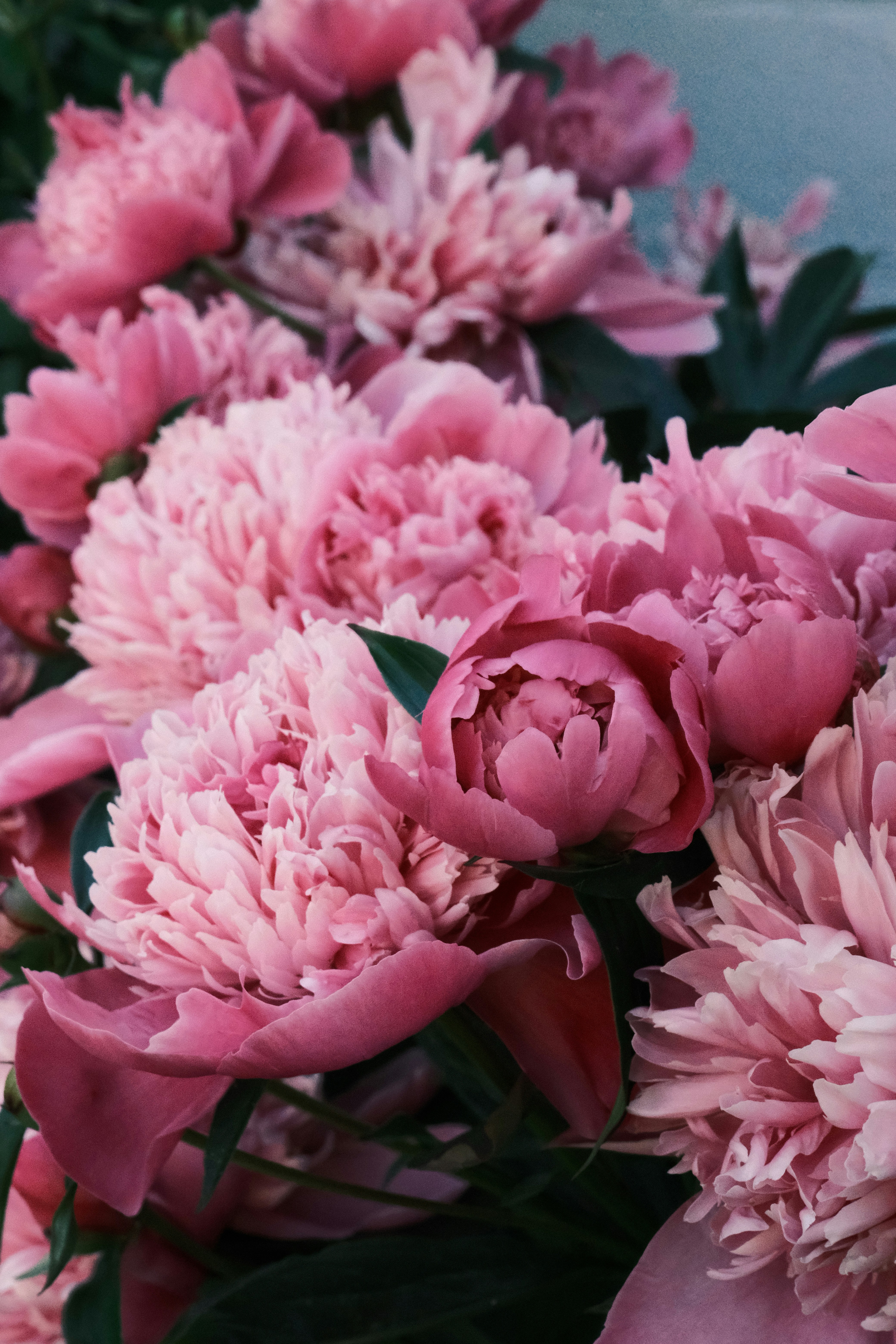 Photo by tatianarudneva