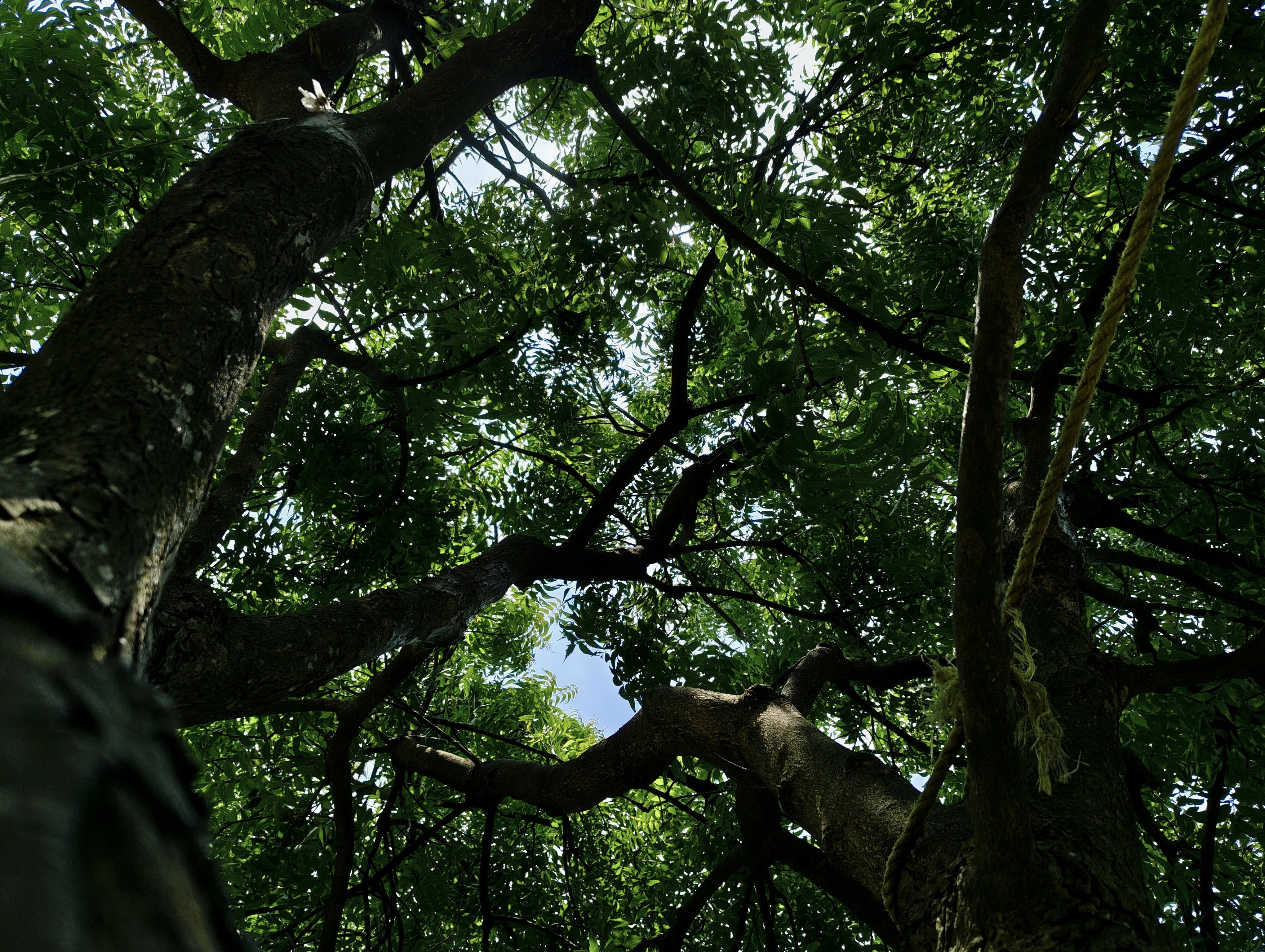 Photo by utsabmahata