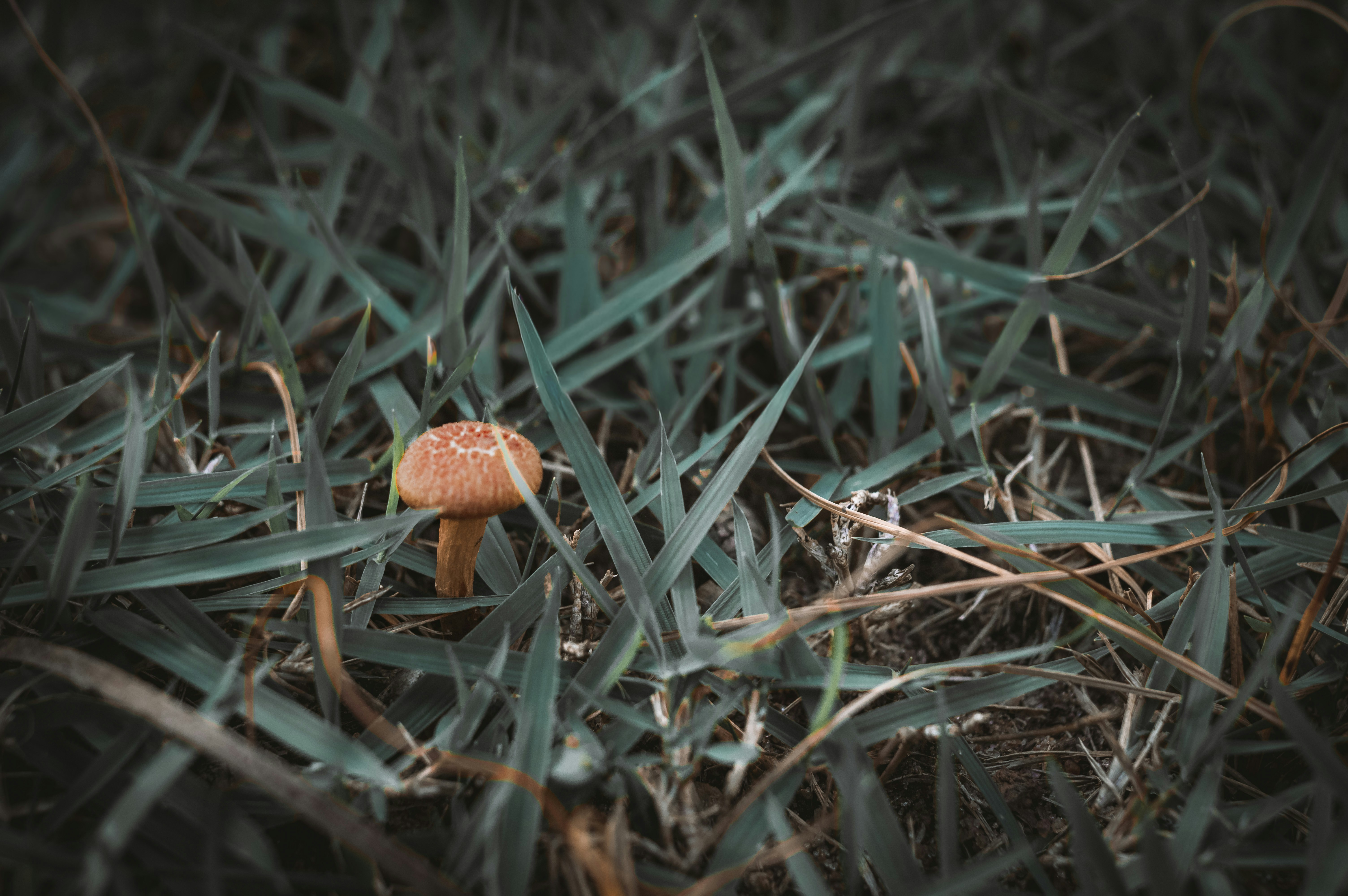 Photo by ivett_m