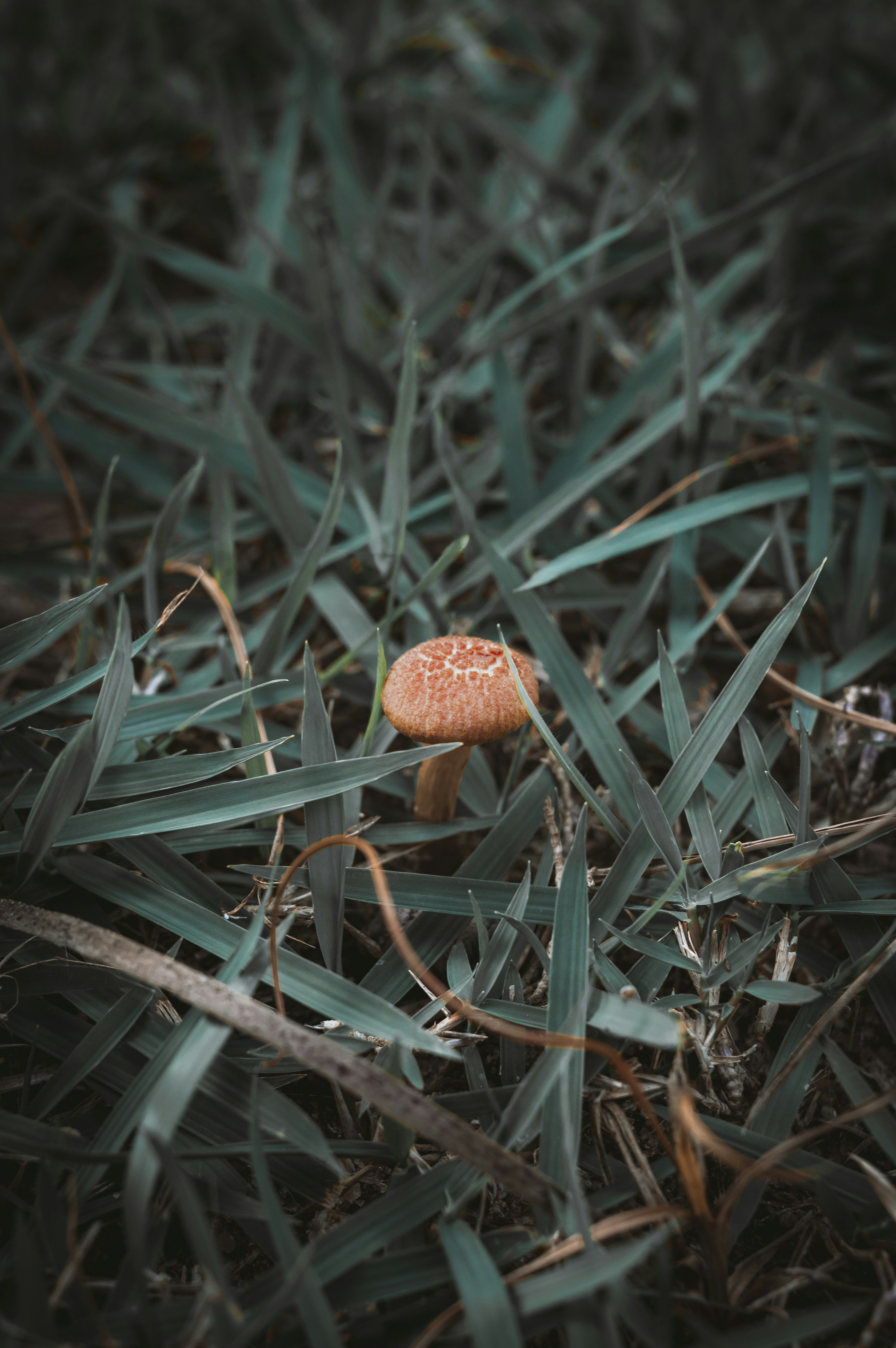 Photo by ivett_m