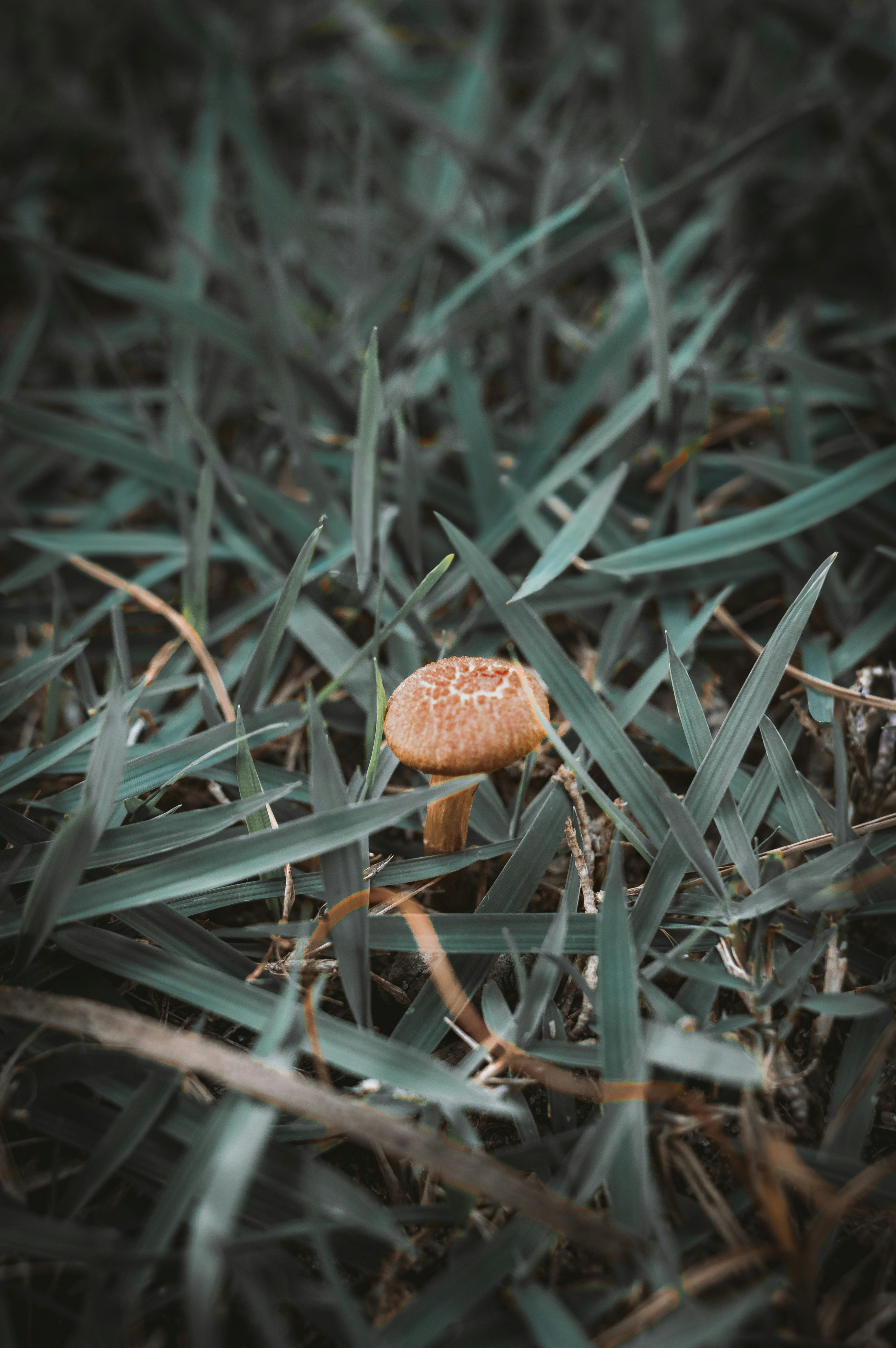Photo by ivett_m