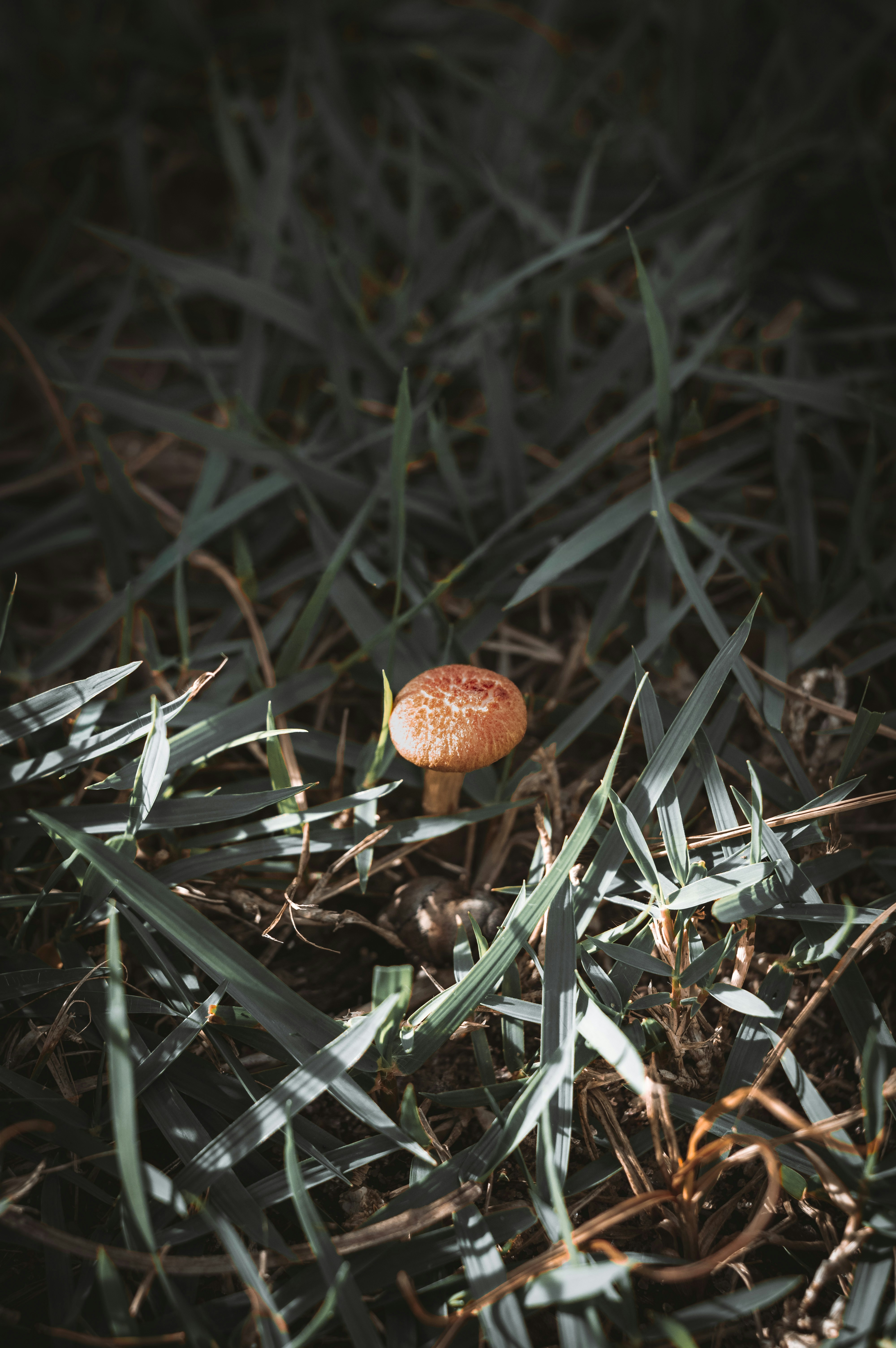 Photo by ivett_m