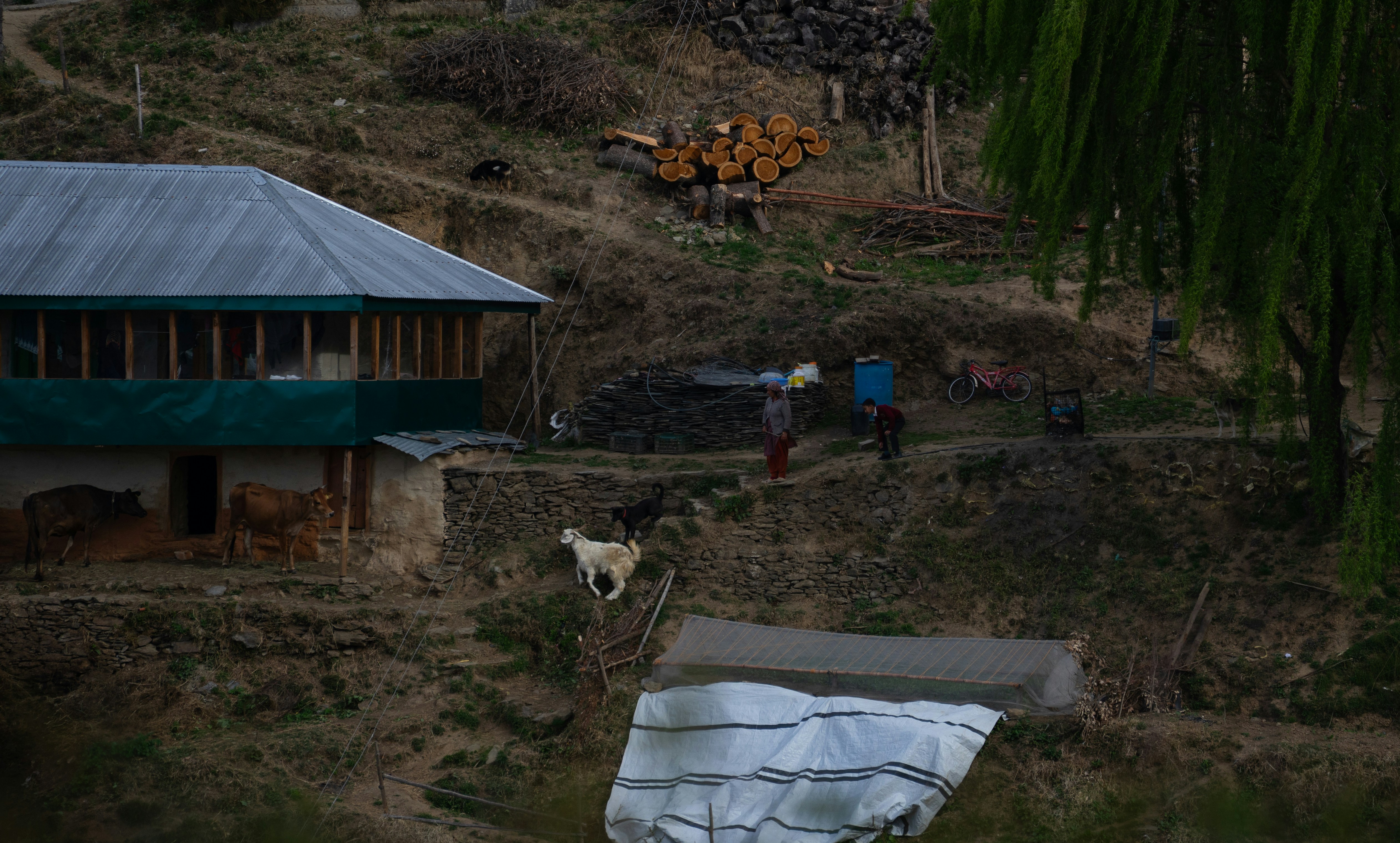 Photo by ojasraj