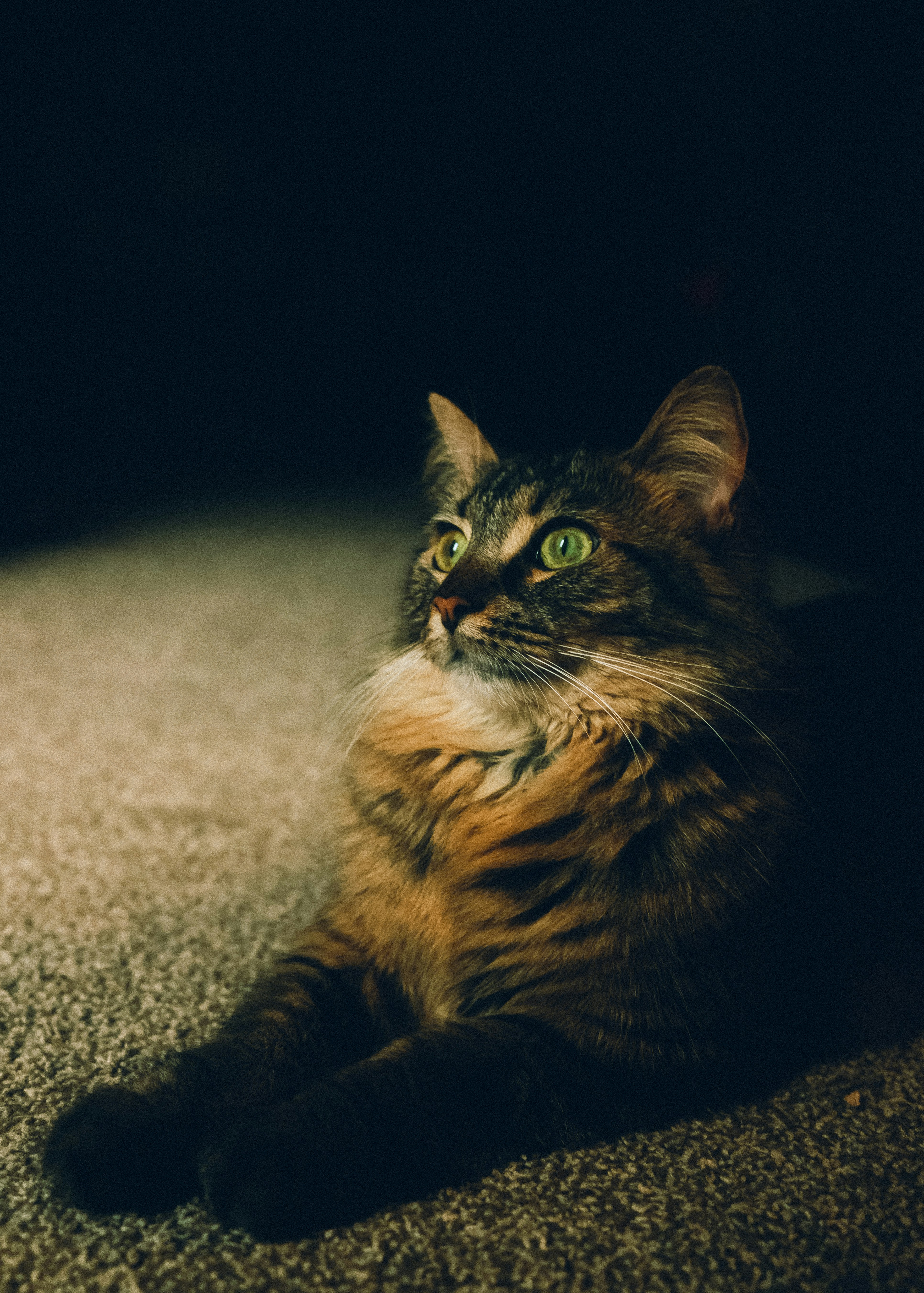 Photo by pray4bokeh