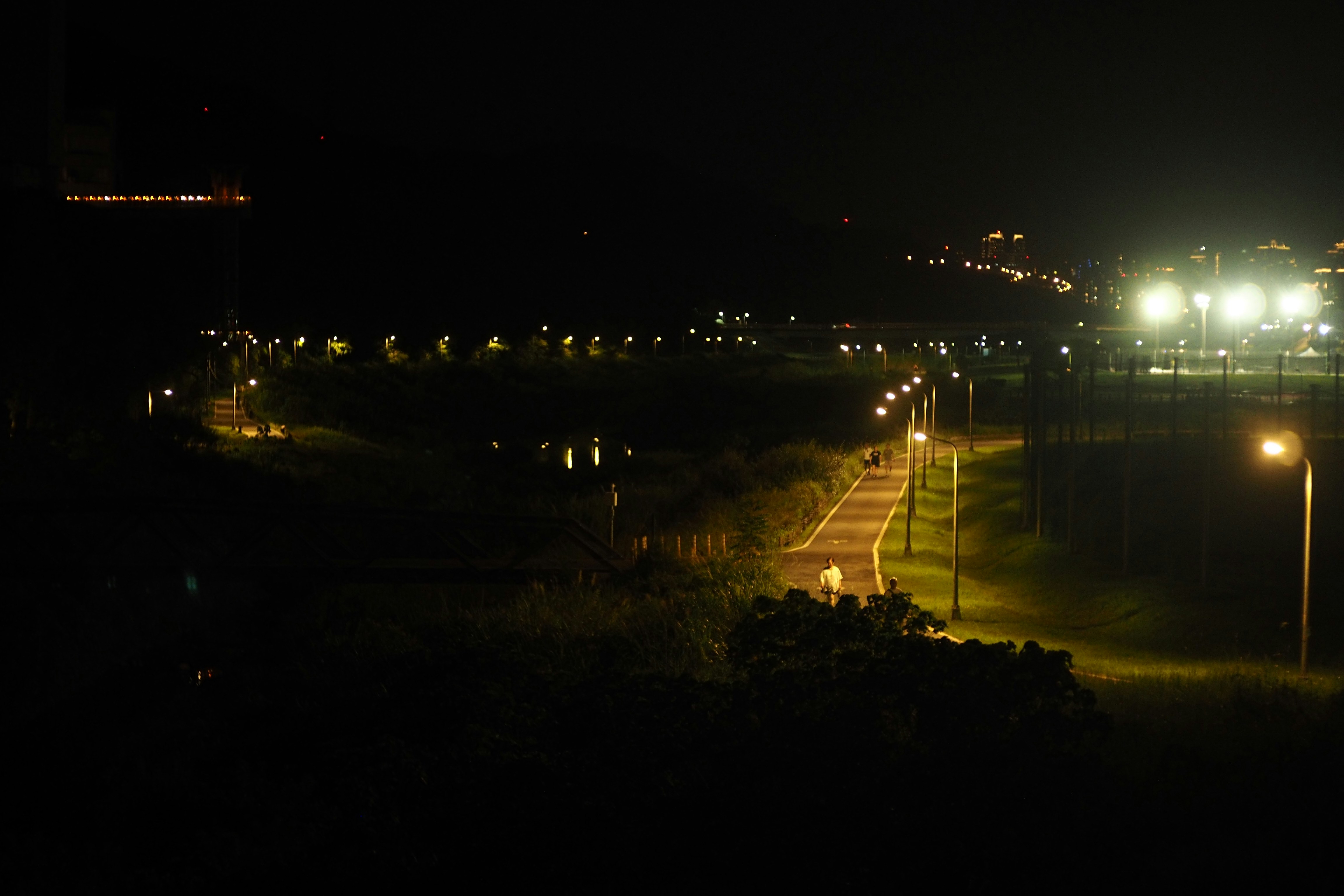 A winding path illuminated by streetlights at night.