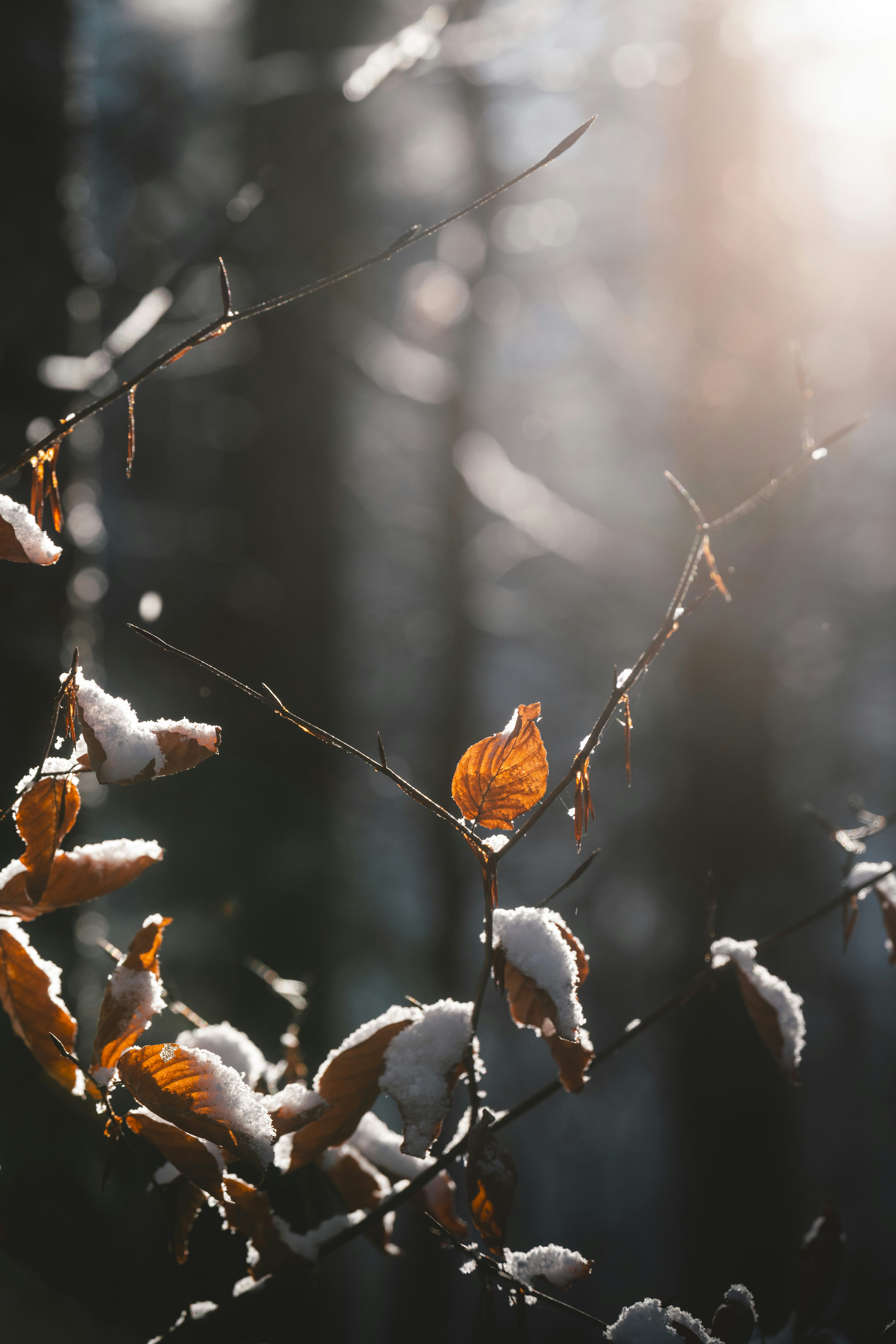 Photo by ahmetyuksek