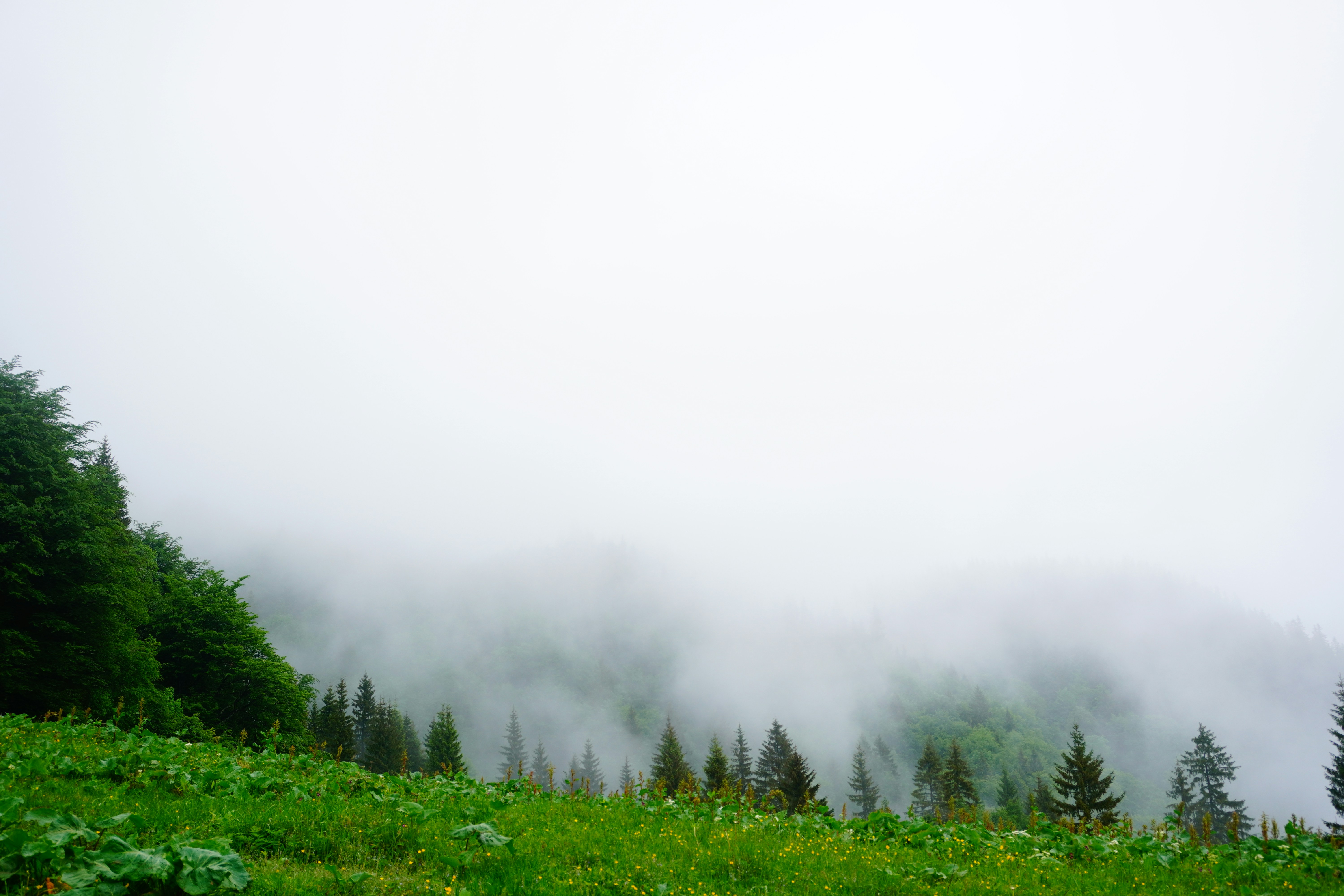 Photo by kotehidze