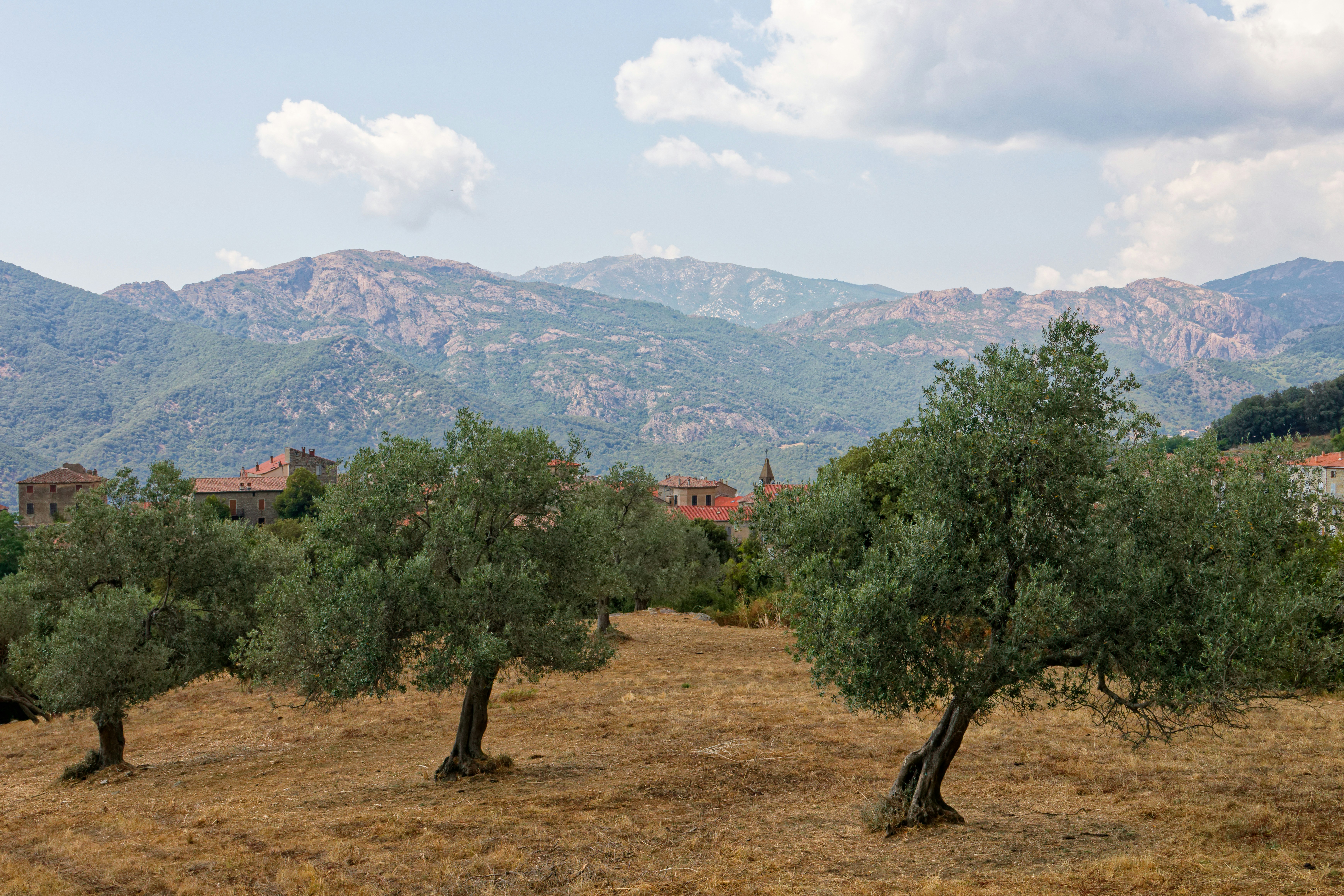Gîte Colline — Mane
