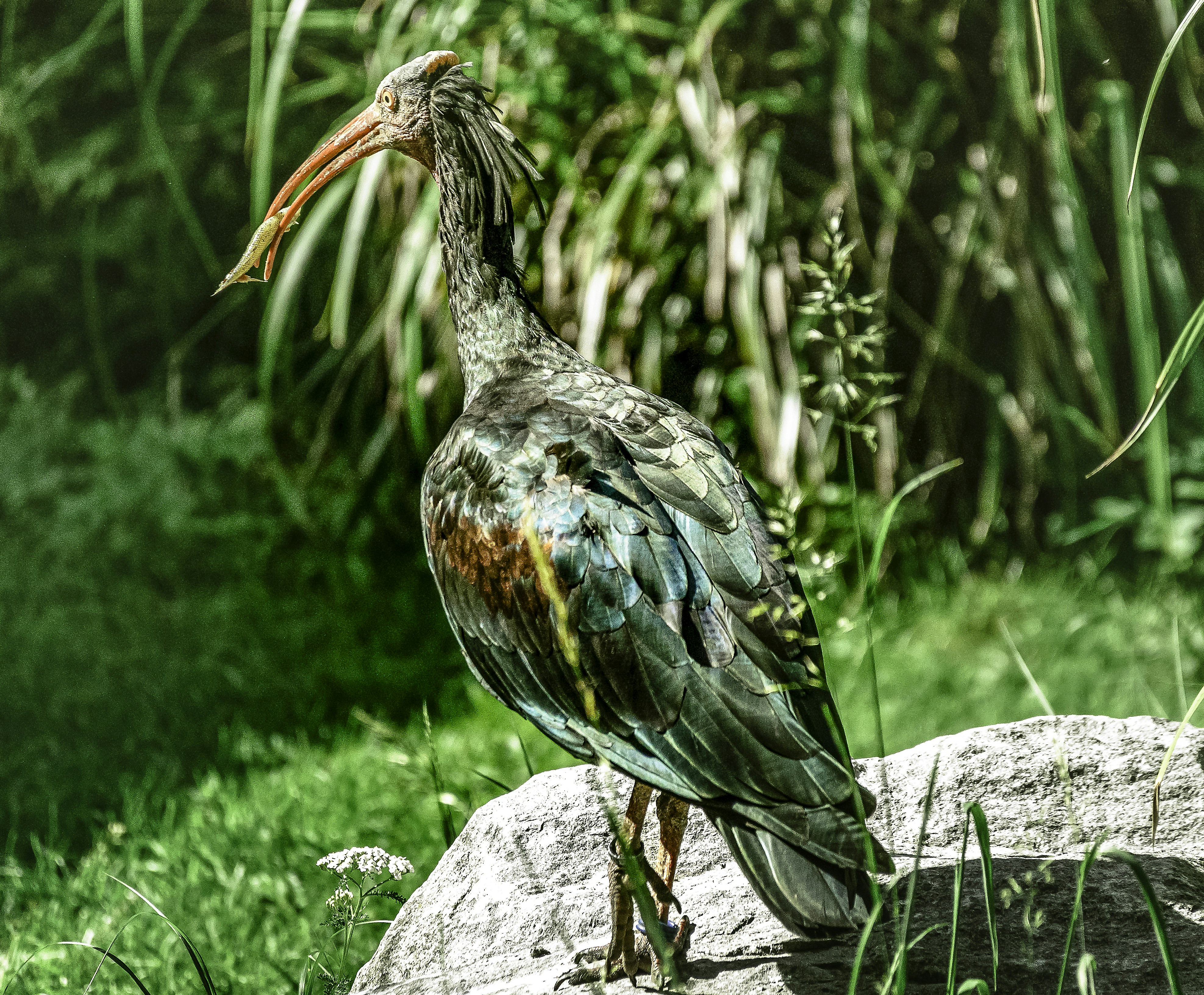 Photo by ironimus2014_44
