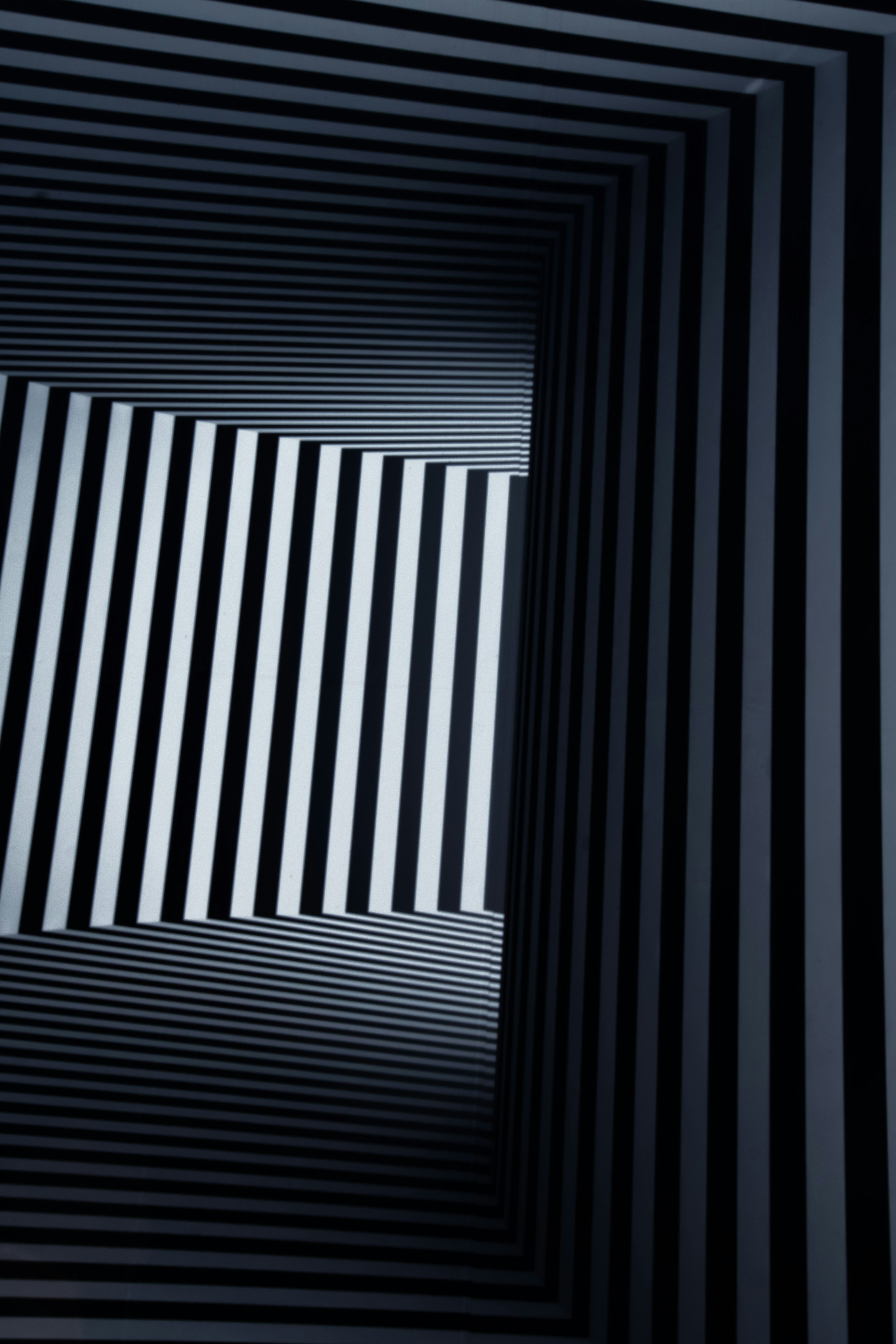 Dynamic black and white striped abstract composition
