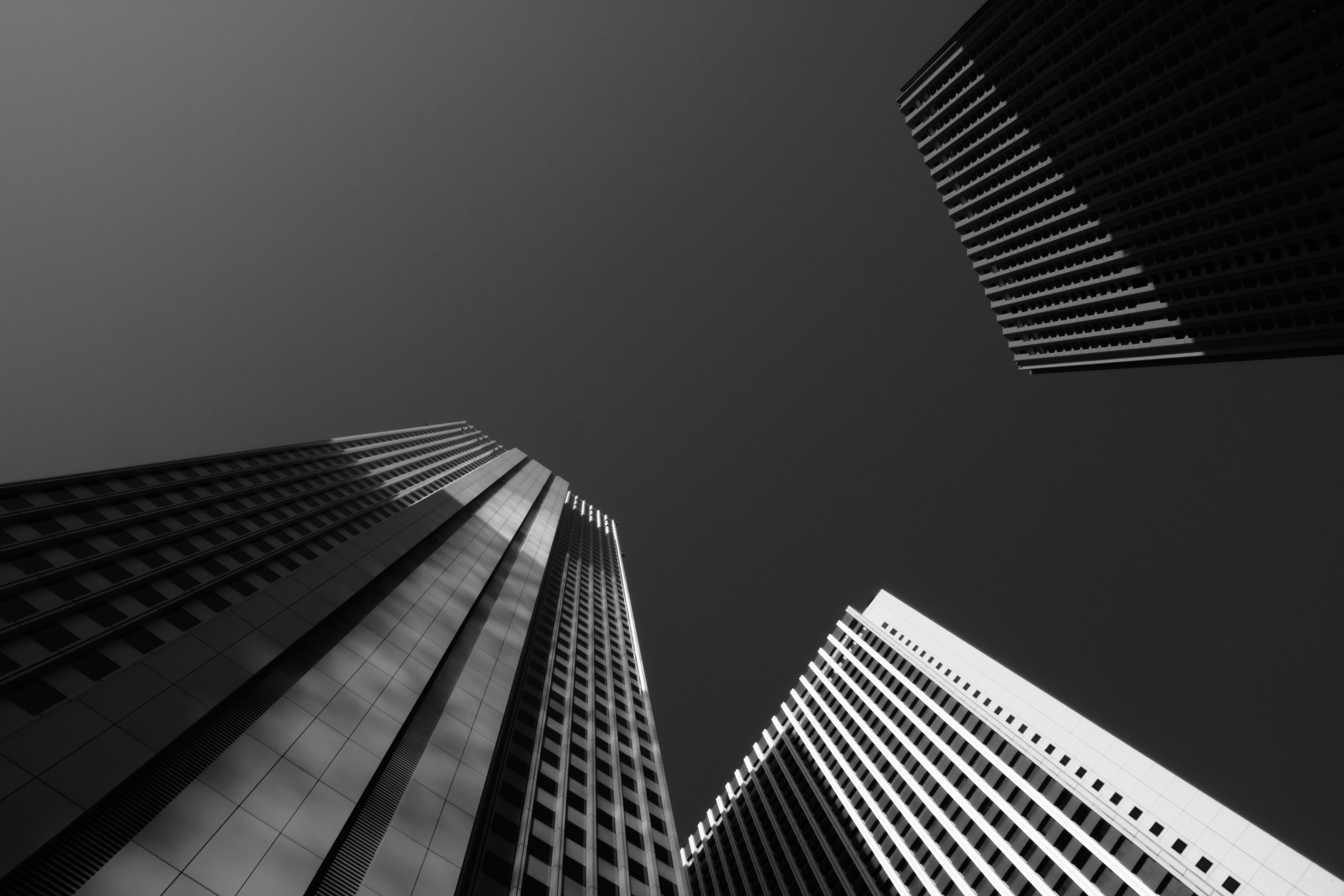 Mastering the Art of Entity Compliance Management