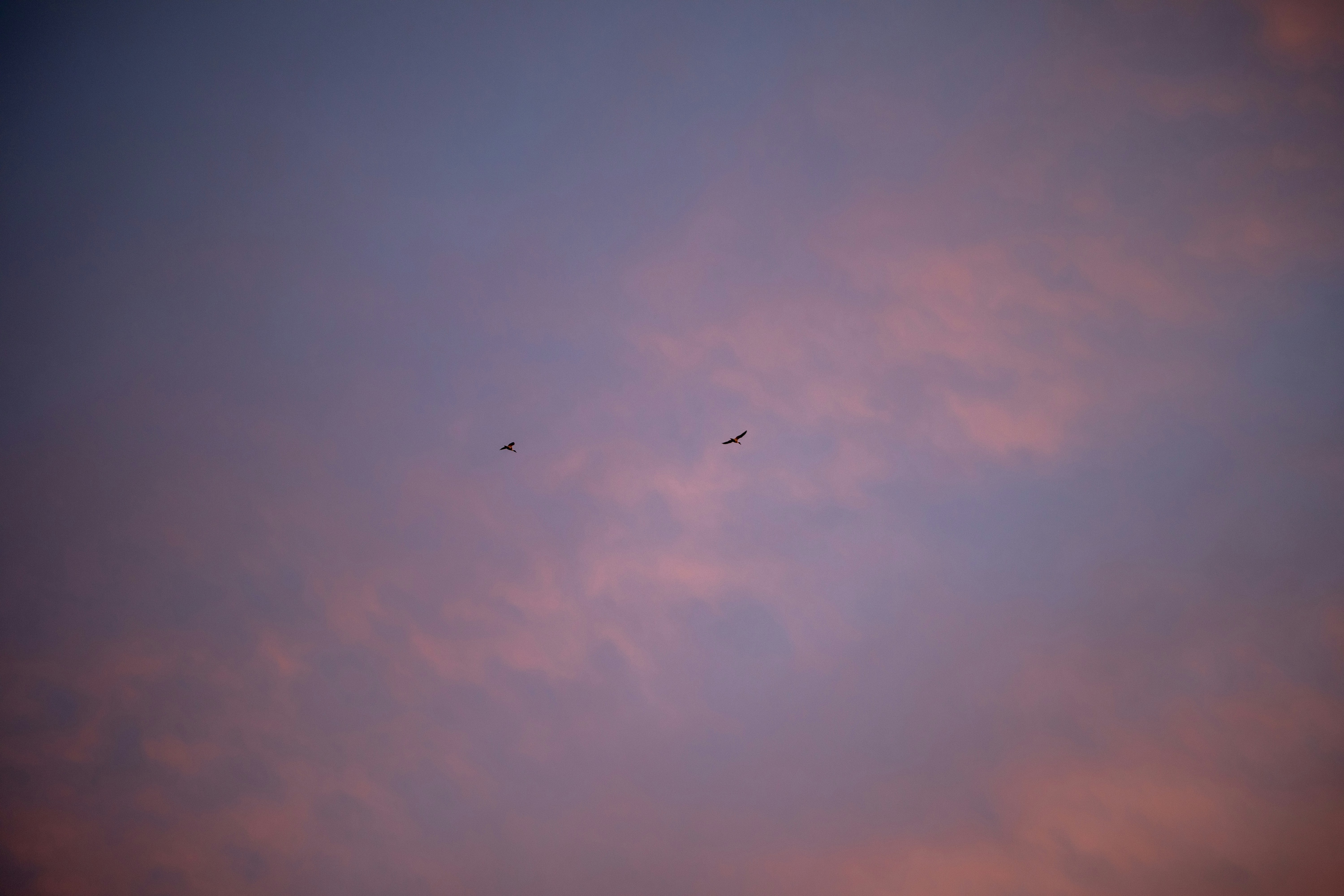 Photo by sandraluimes