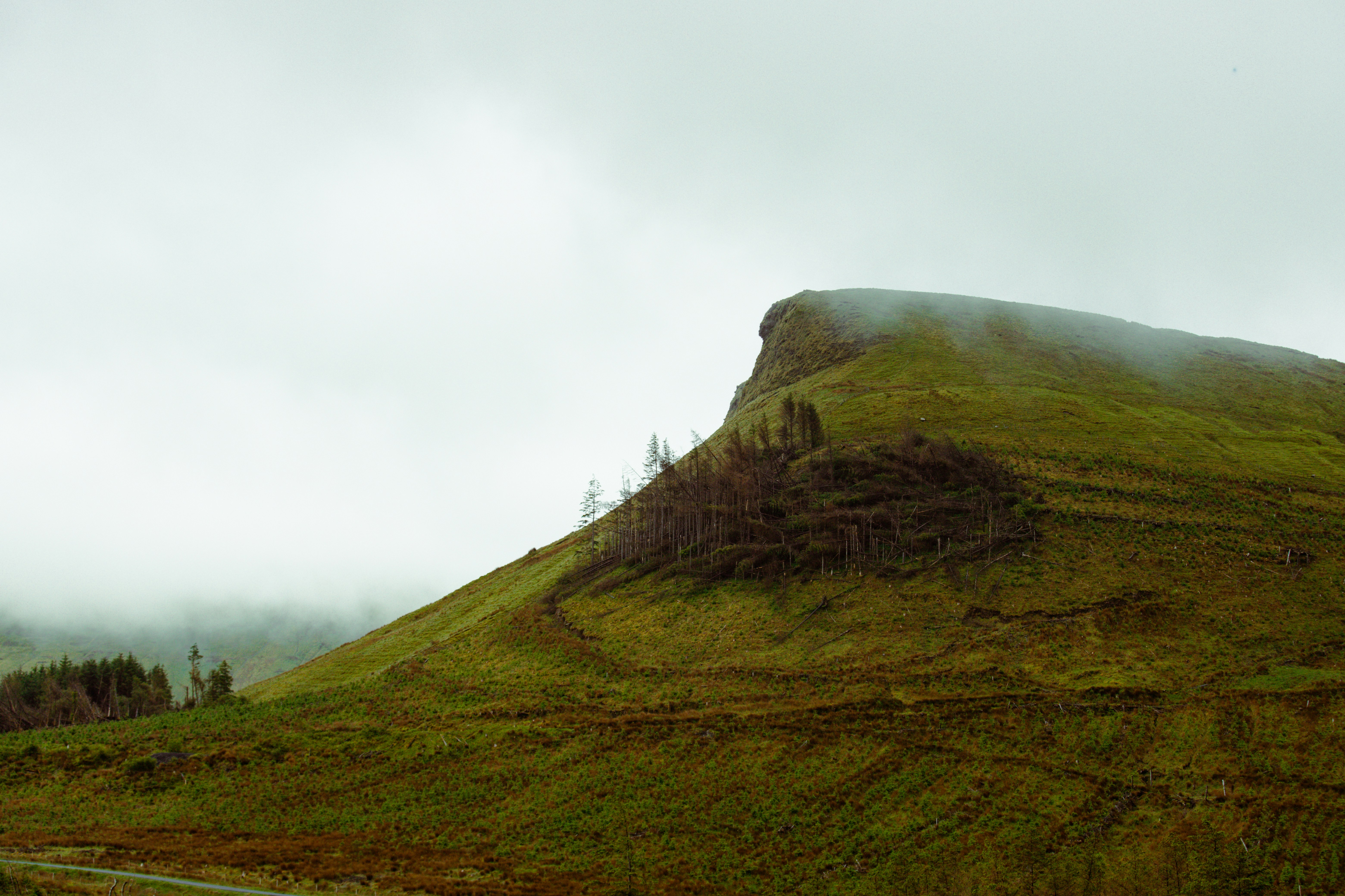 Photo by atelierbyvineeth
