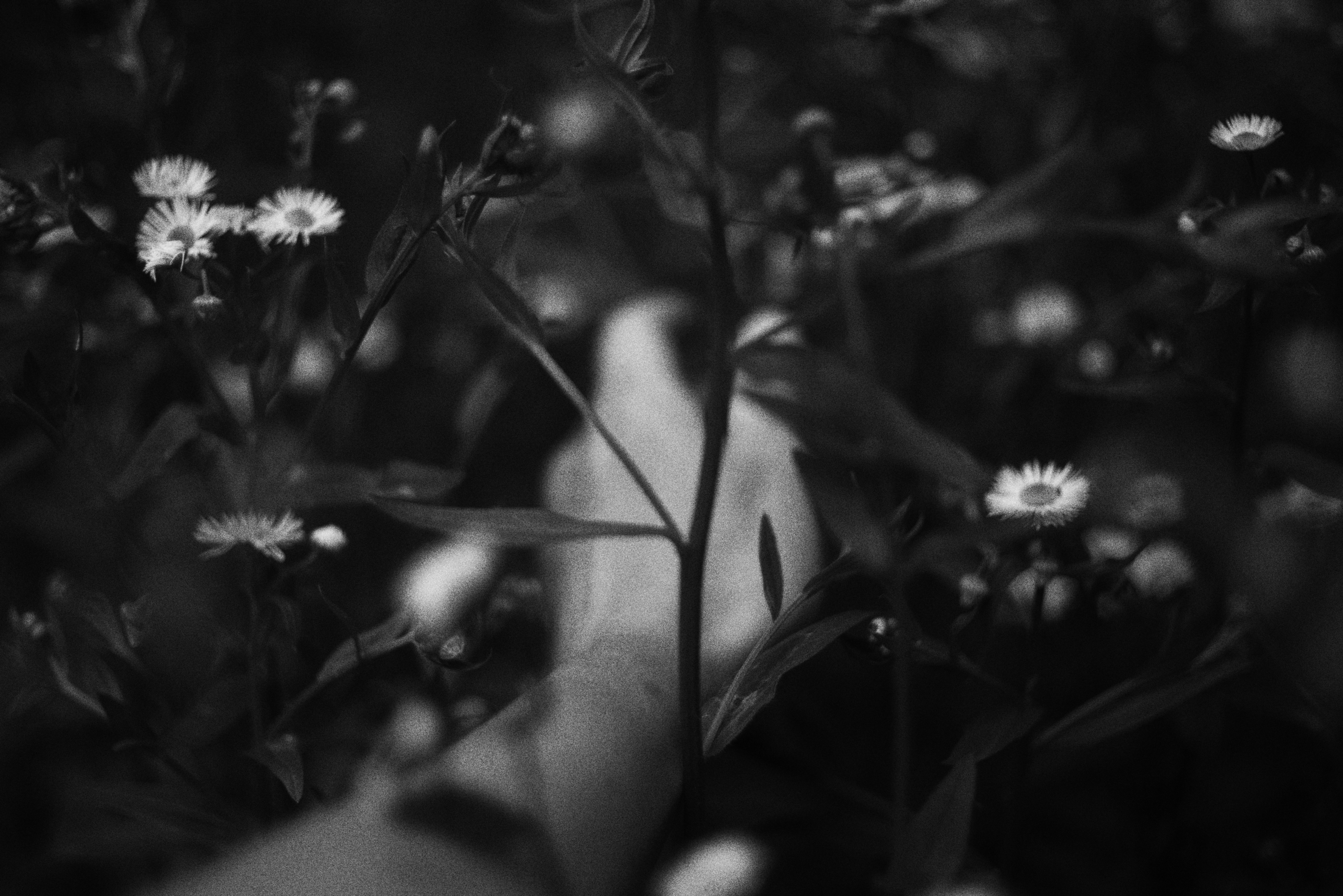 Photo by cherstve_pechivo
