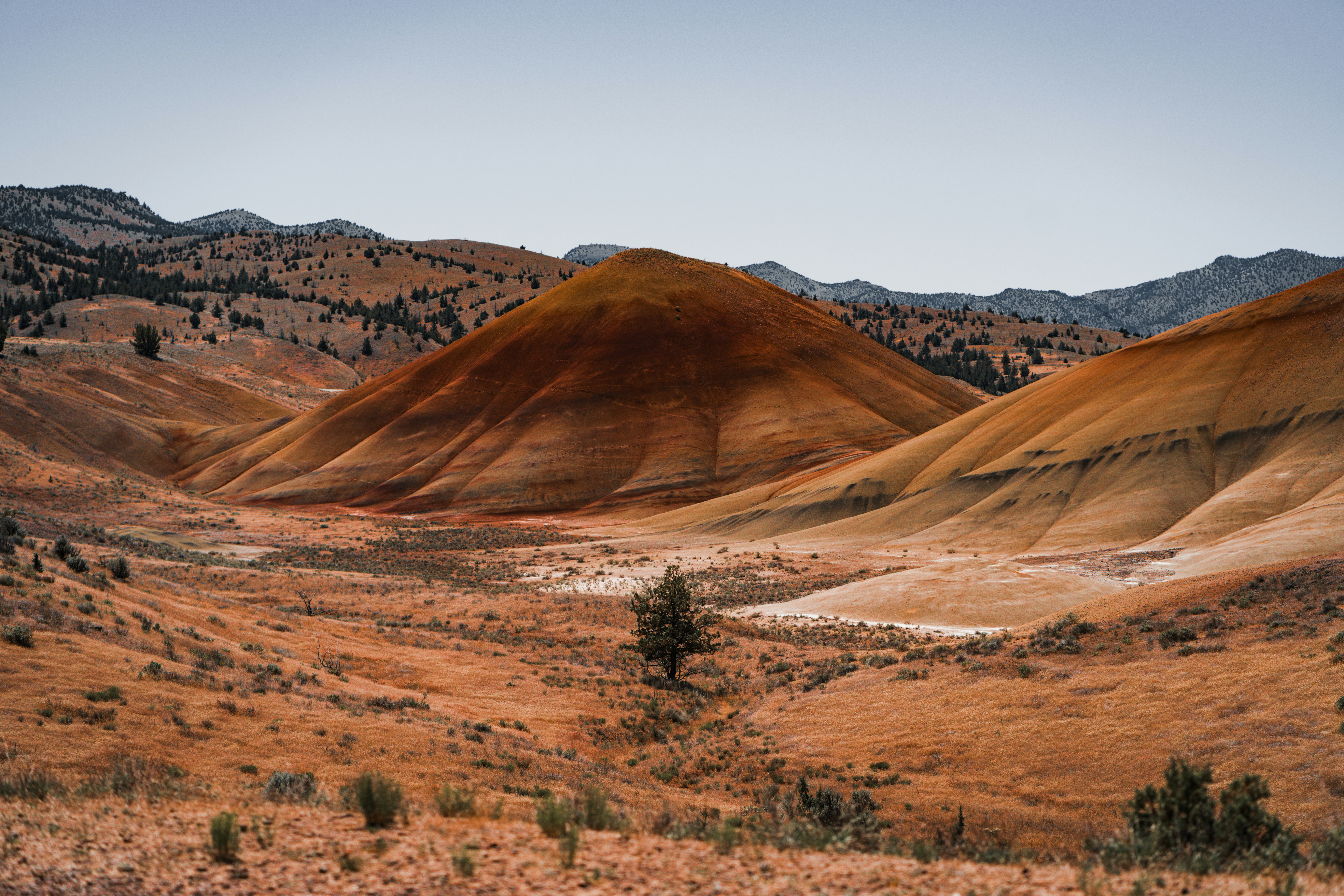 Collines désertiques orange et rouge éclatantes sous un ciel dégagé.